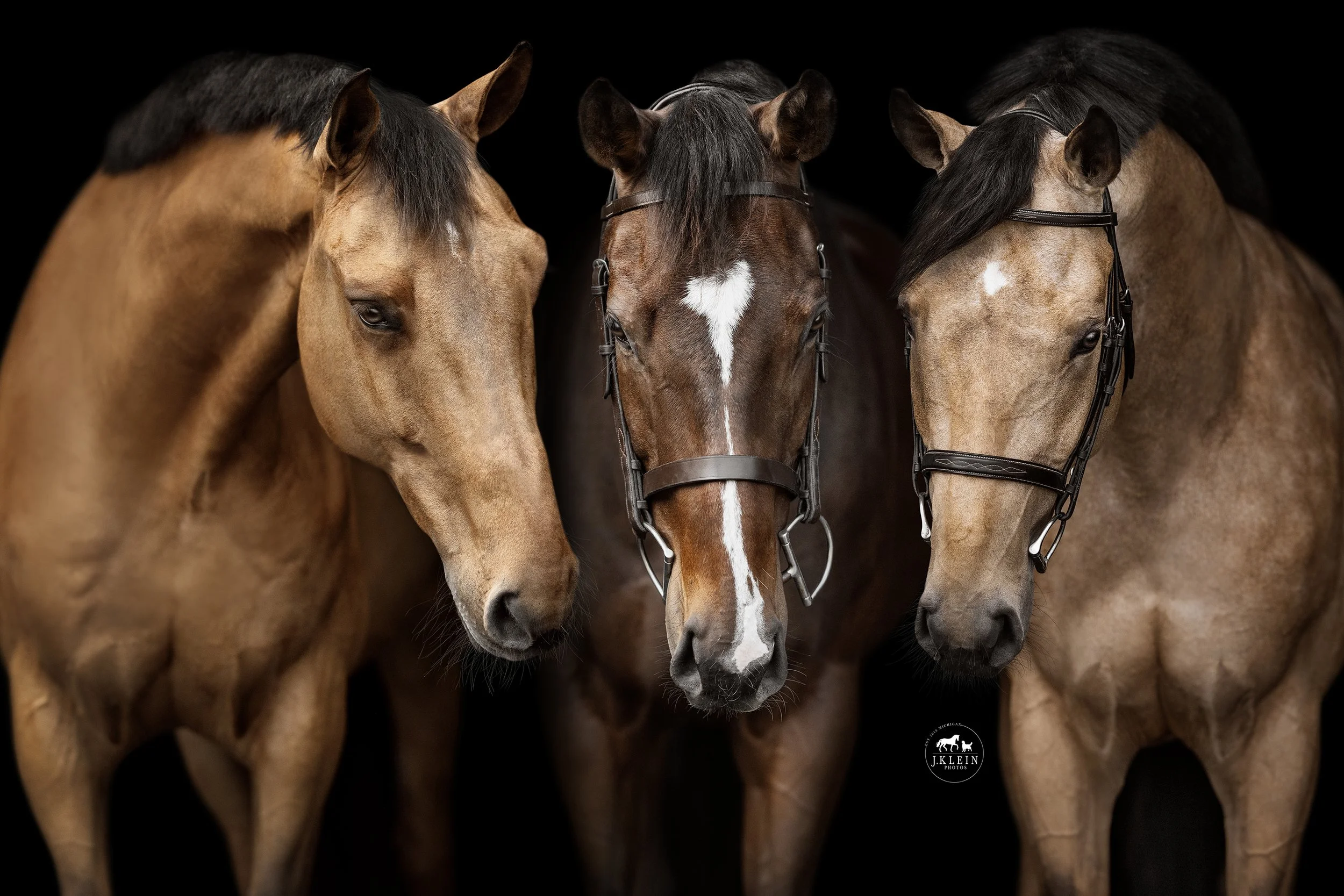 Three Facing Forward.jpg