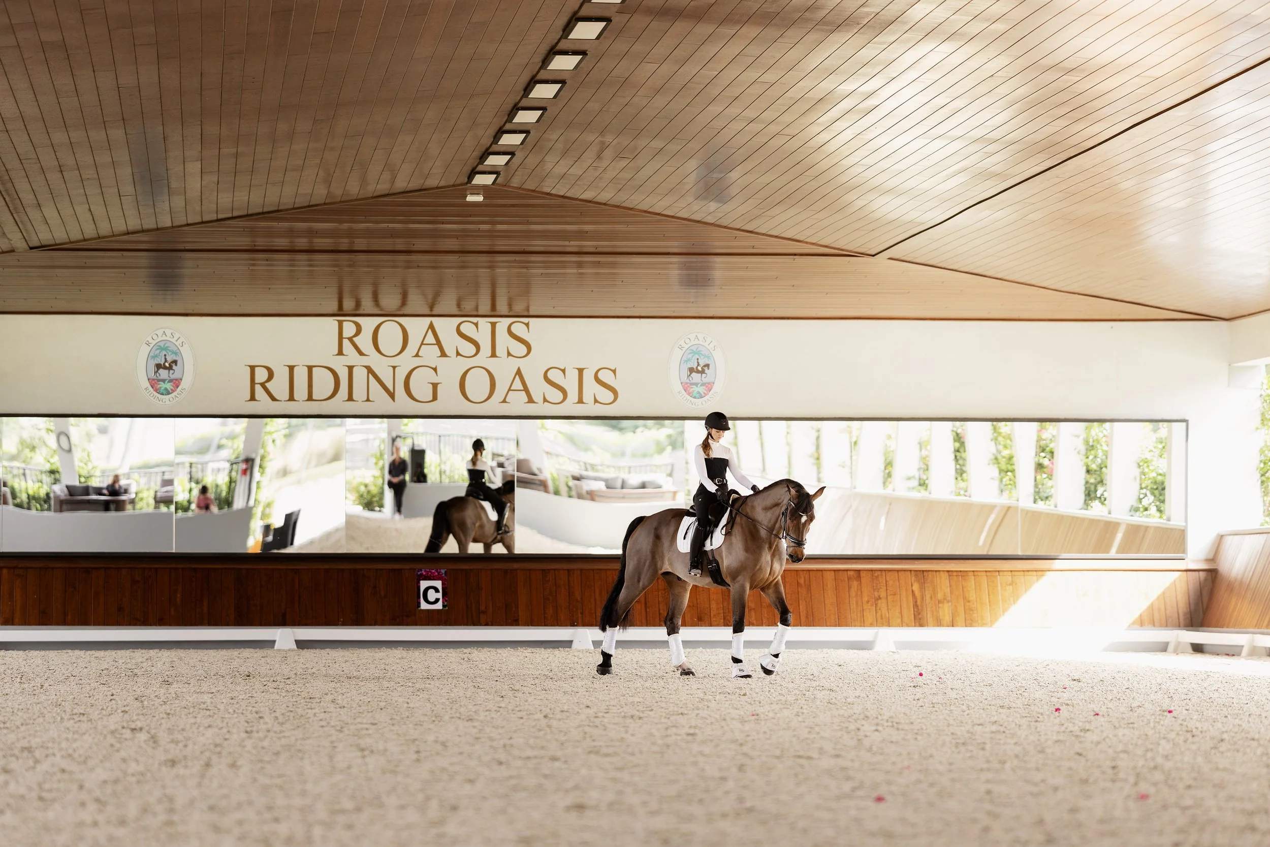 JKleinPhotos - Wellington Florida - Equine Photographer - Dressage - Branding Photoshoot - Horse and Rider Images - Roasis Riding Oasis - Becca Hart - Olympic Equestrian 63.jpg