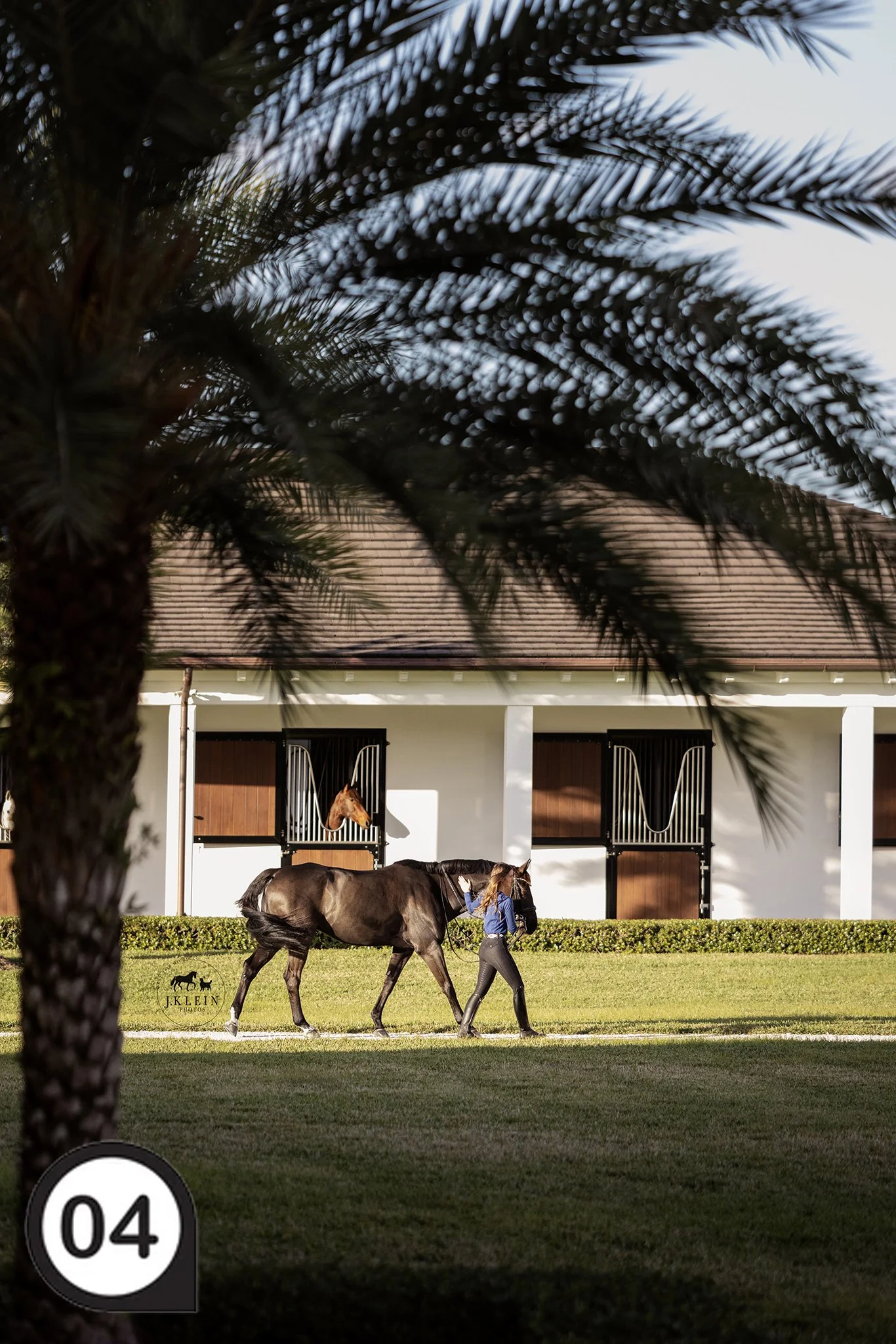 JKlein Photos - Equine Photographer - Learn how to photograph horse and rider sessions - choosing locations - lighting - posing - wellington florida - Claudine Kundrun - Ali Brock - dressage - workshop - mentorship - online education -80.jpg