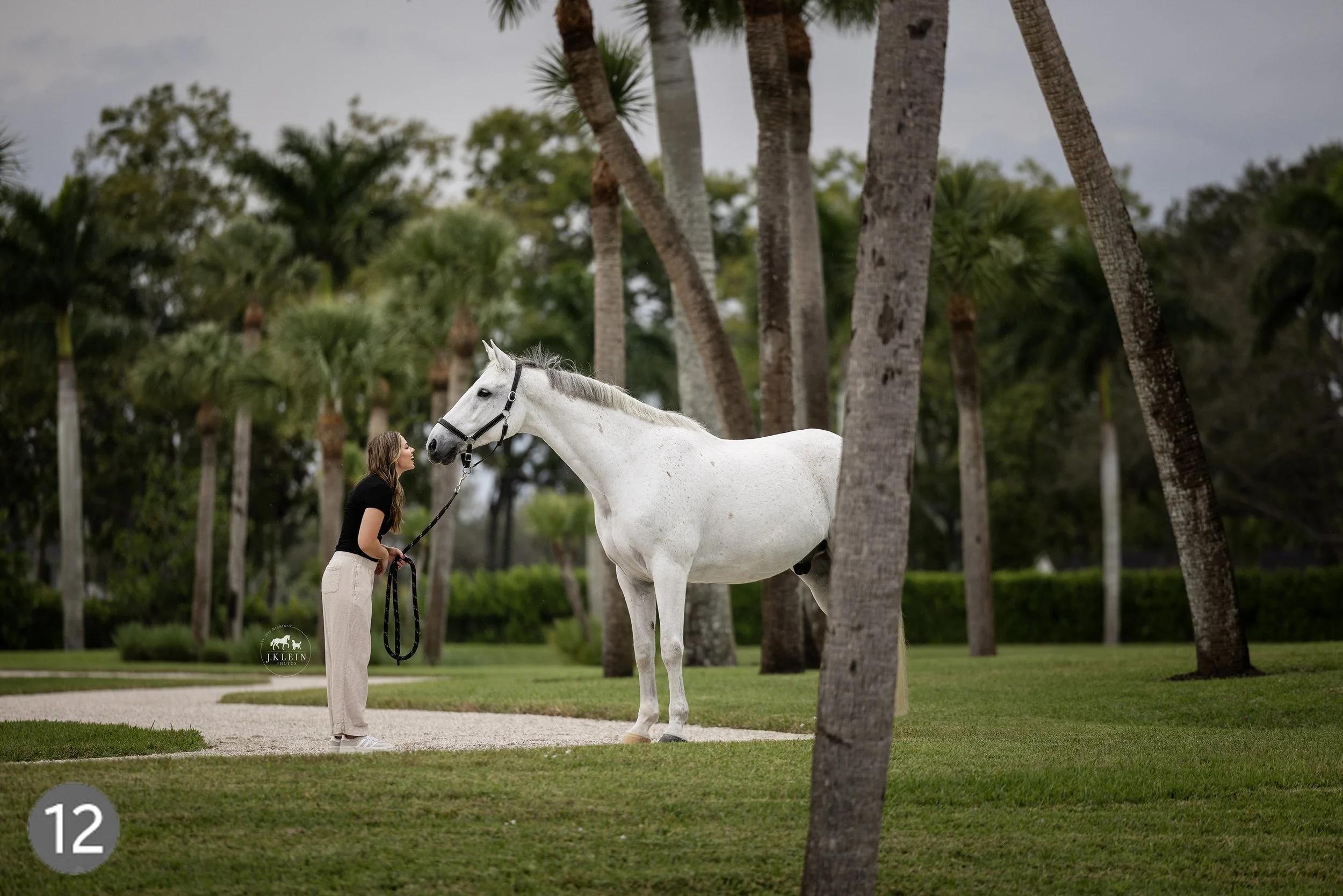JKlein Photos - Equine Photographer - Learn how to photograph horse and rider sessions - choosing locations - lighting - posing - wellington florida - Claudine Kundrun - Ali Brock - dressage - workshop - mentorship - online education -11.jpg