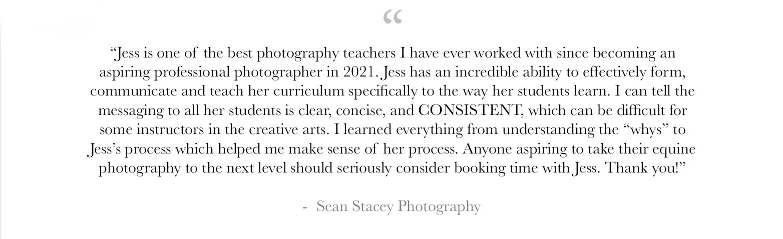 Equine+Photography+Mentorship+-+Learn+how+to+photograph+horses+-+Virtual+and+In+Person+-+JKlein+Photos+-02 copy.jpg