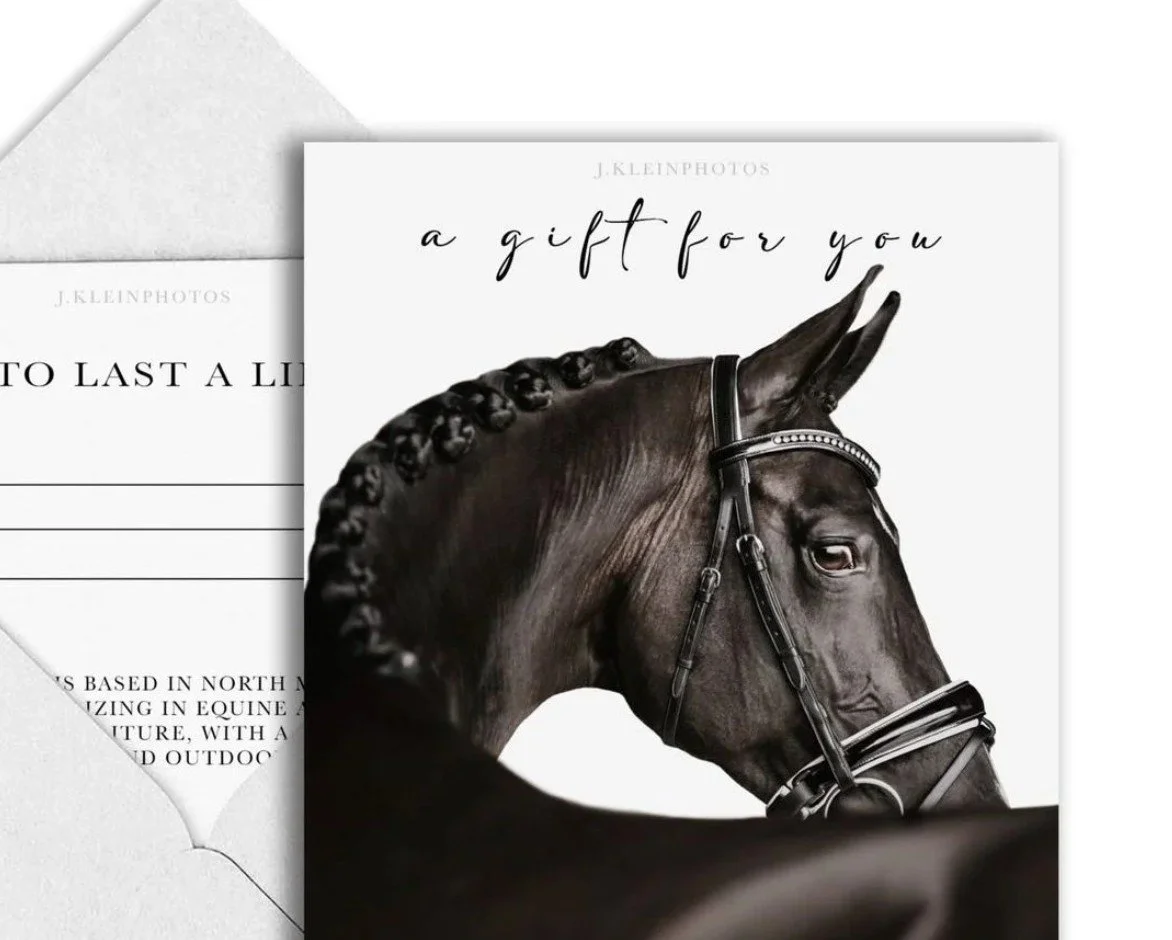 Do you know someone who has dreamed of having a photoshoot with their horse or dog, or is someone who values gifts that gain value as time passes? Are you burnt out from shopping box stores and want to support your local and small businesses?

Here i