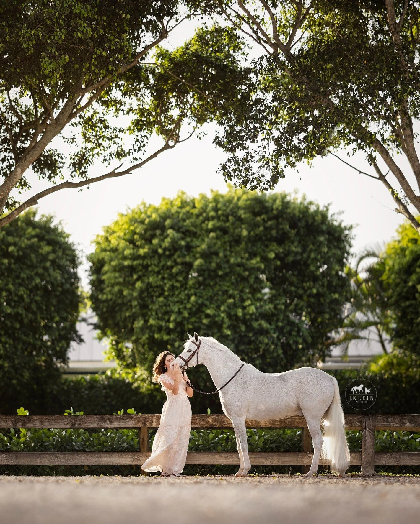 // ❓Photographers - Are you needing to streamline your workflow to be more efficient, allow you to confidently set prices for profit and accept more clients?

My Horse &amp; Rider workshop is the perfect fit for you! 

My workshops don't only focus o