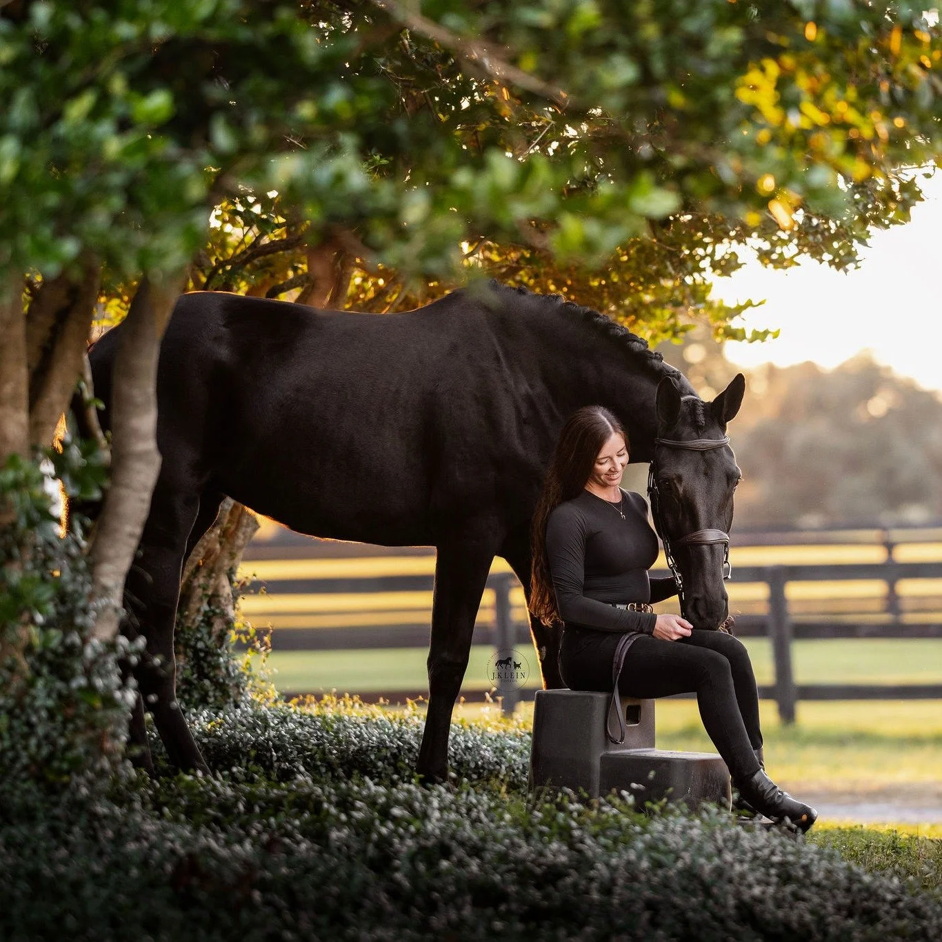 "I have used Jesse several times now for my dog and a few of my horses. She is wonderful and exceeds expectations every time! Her eye for photography is amazing, and the photos always come out better than expected. She also does a great job work