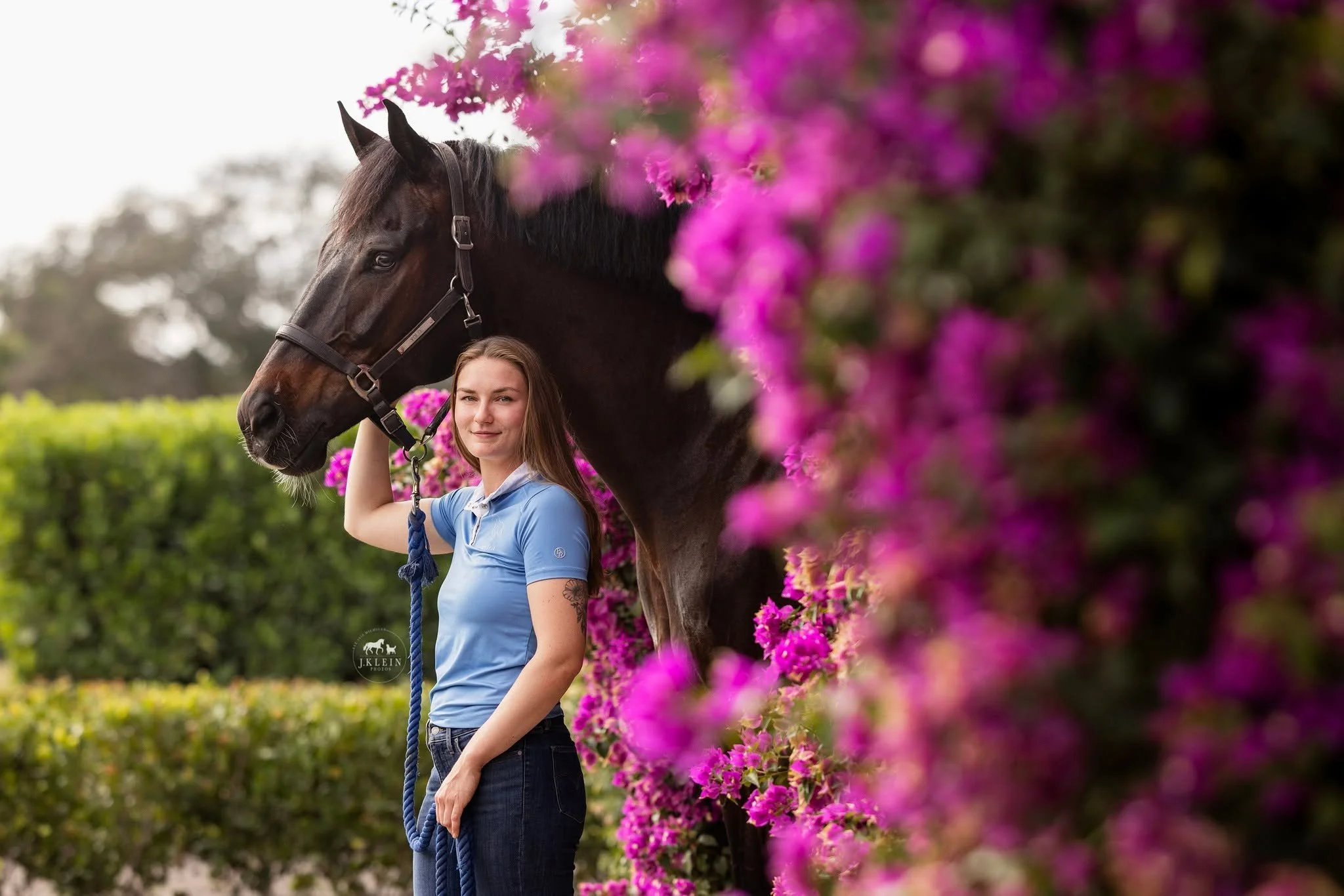 ❓Are you feeling like your Horse &amp; Rider images are missing that POP effect you see other photographers accomplishing? 
❓Are you overwhelmed with using photoshop, and lost knowing which tools to use, and how to use them? 
❓Would you like to know 