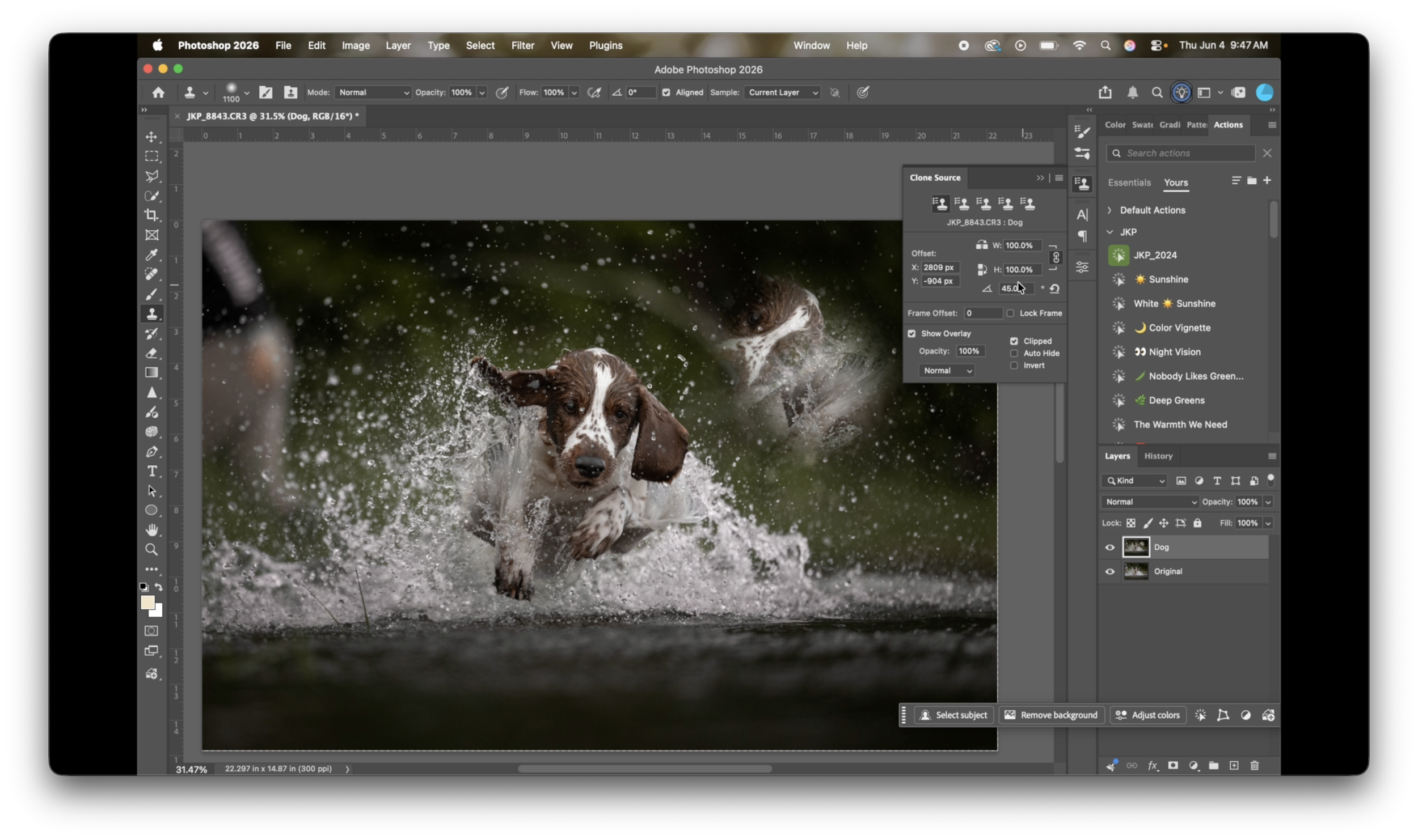 JKeinPhotos - Canine Photographer - Learn how to edit dog photos using Adobe Photoshop - Photography Educator - online course - workshop - mentorship - Michigan151.png