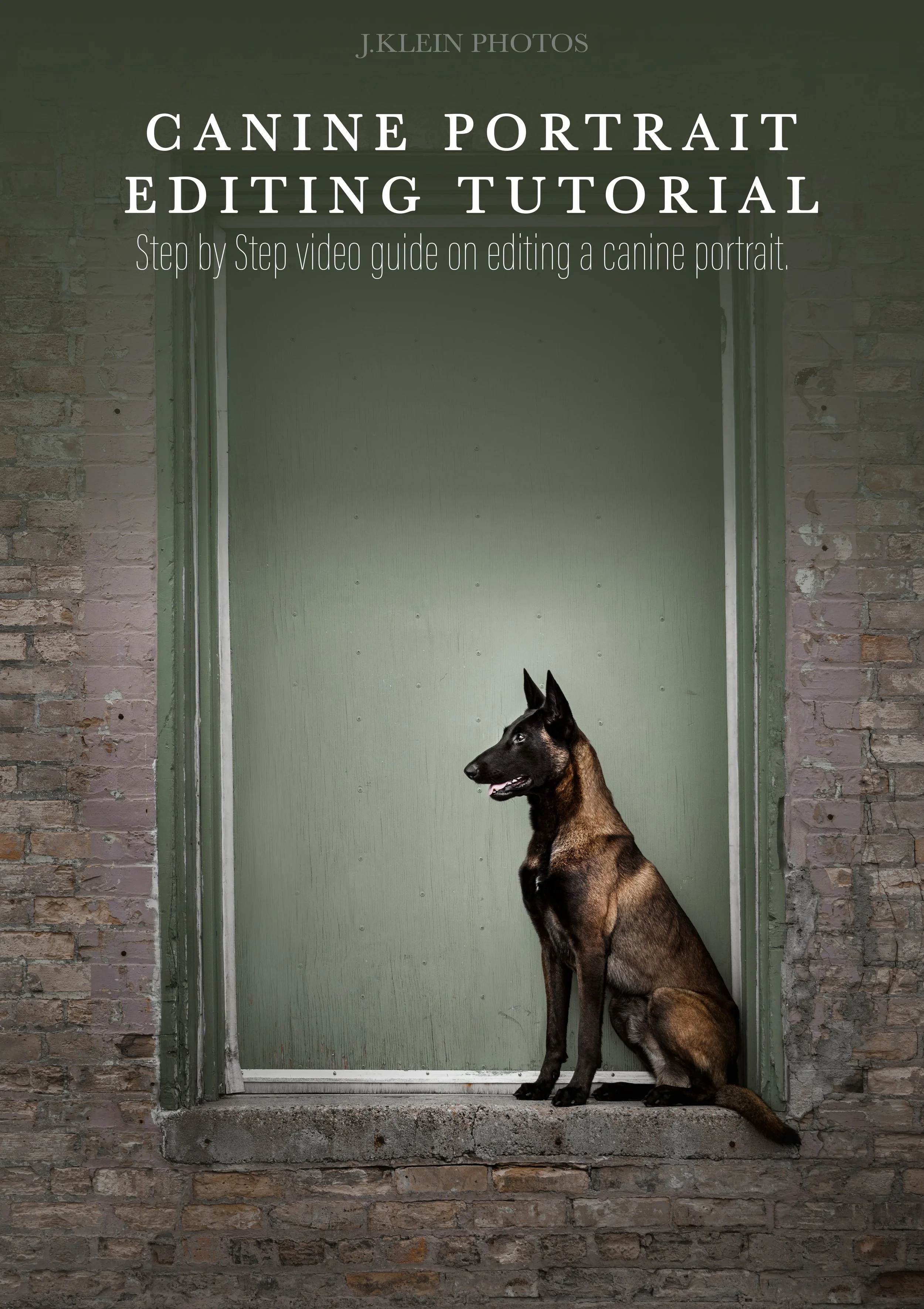 Finn - JKP Canine Tutorial Cover.jpg