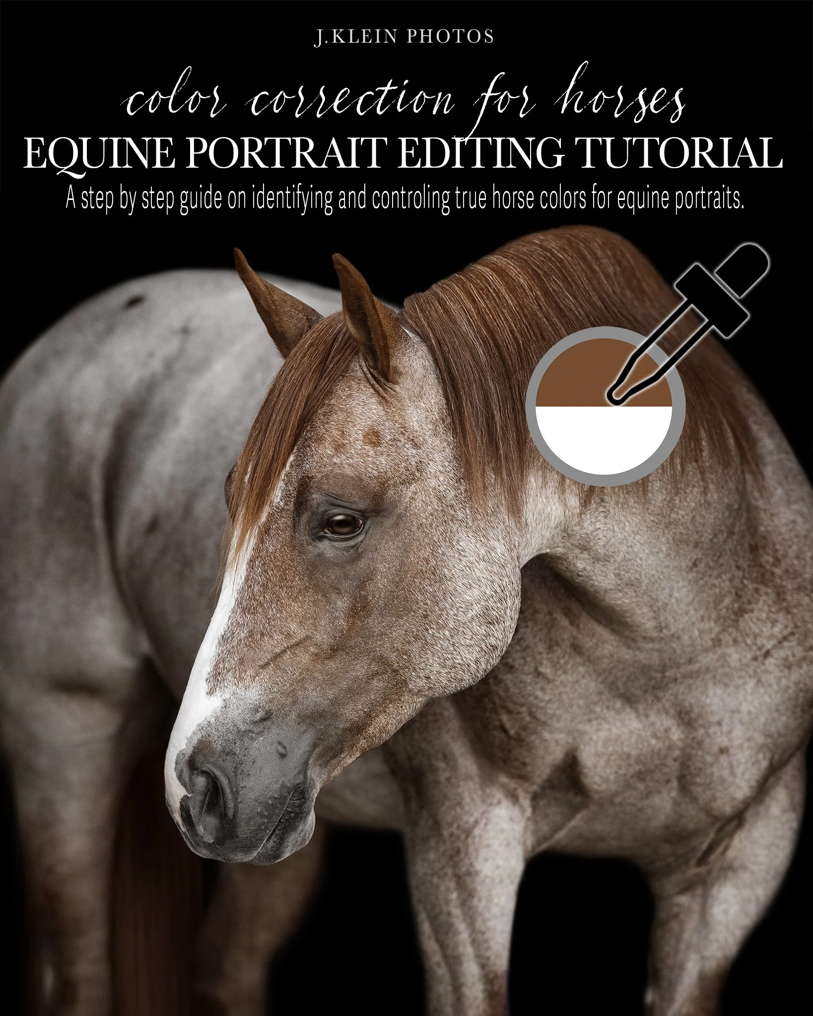 COLOR_CORRECTION-COVER copy.jpg