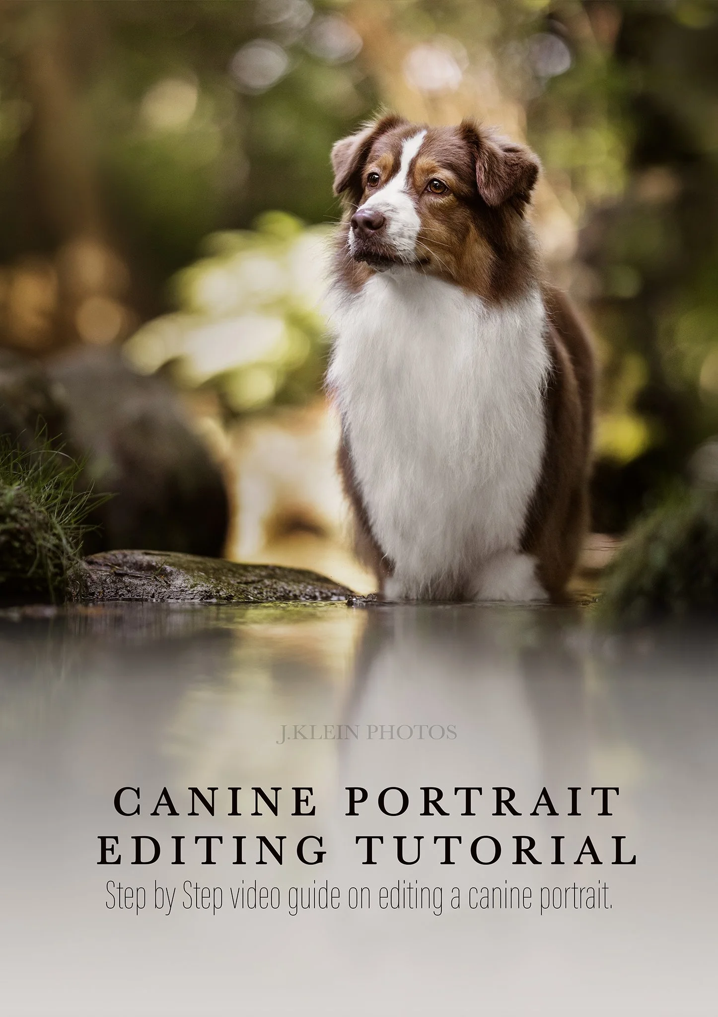 Roaree - JKP Canine Tutorial Cover.jpg