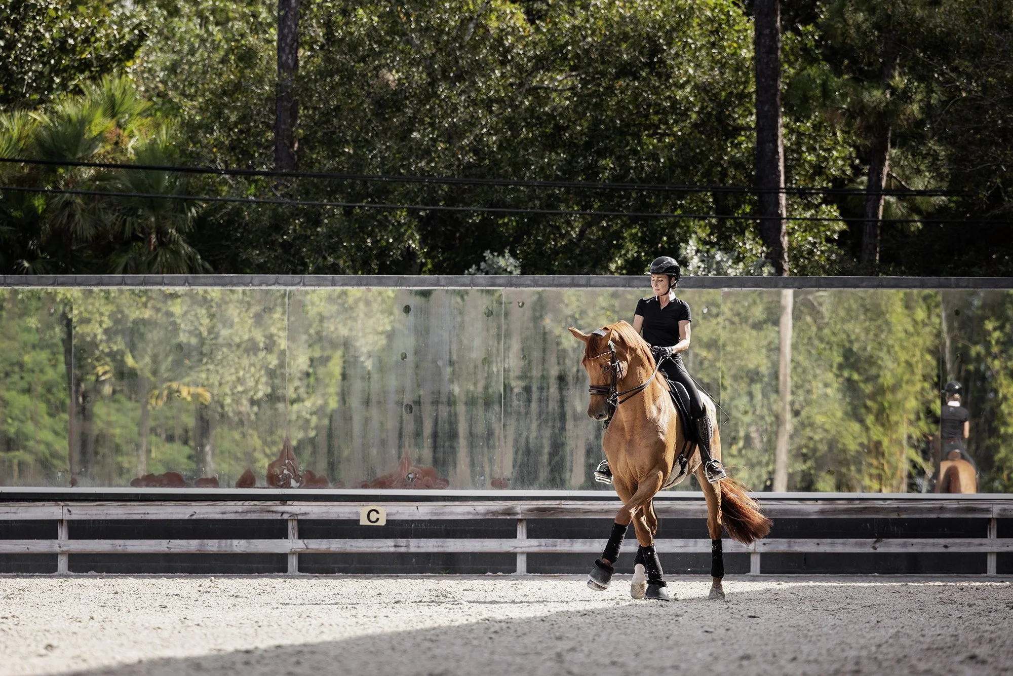 J.Klein Photos Wellington Florida Dressage Equine Photographer, offers Horse & Rider portraits, black background and action photos for Equestrians and businesses needing branding images. Marcus Fyffe Dressage with USA rider Claire Darnell.