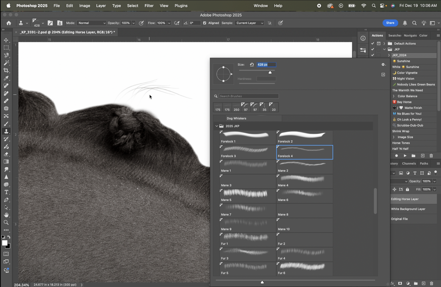 Screenshot 2025-12-19 at 12.33.07 PM.png (Copy)