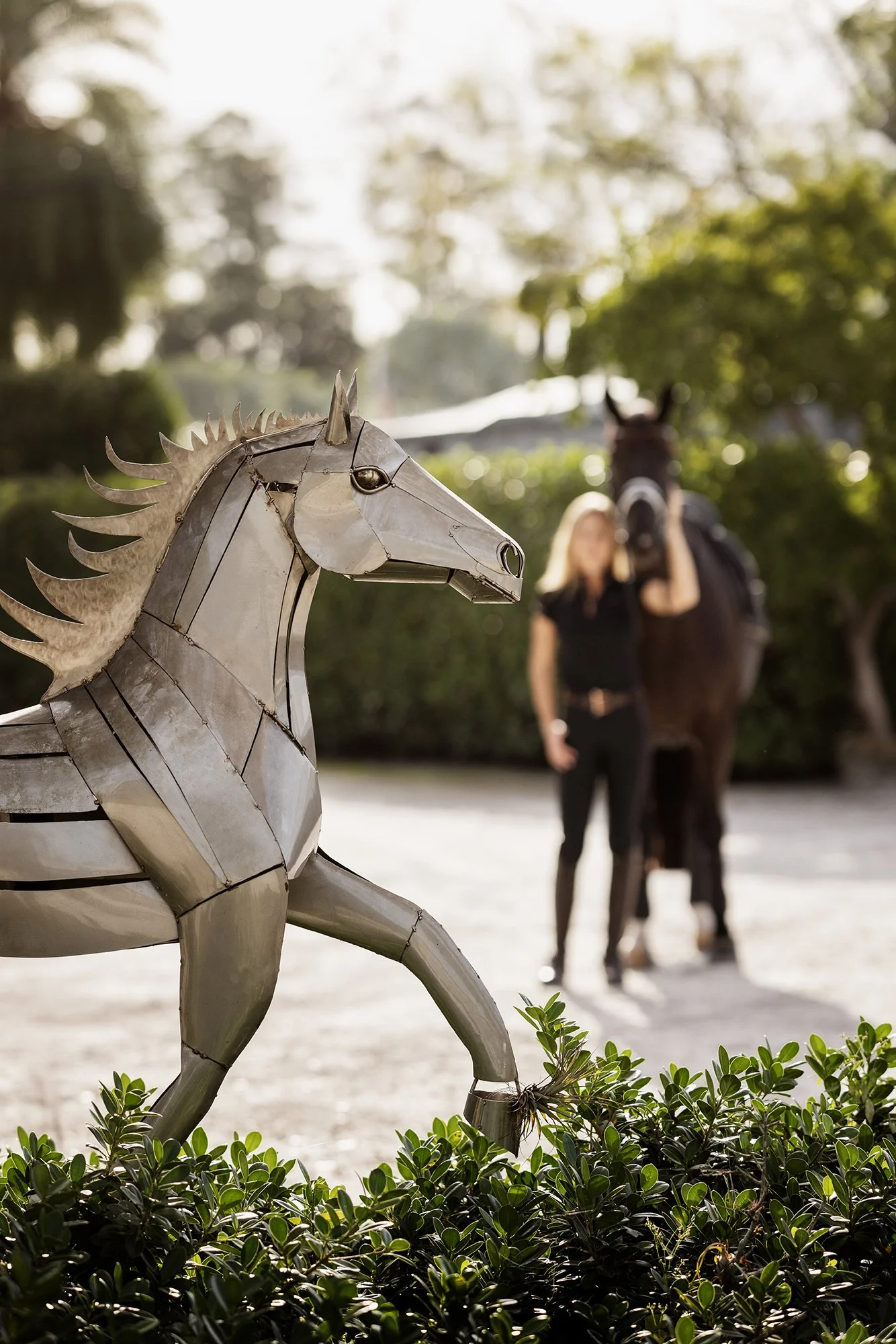 J.Klein Photos Wellington Florida Dressage Equine Photographer, offers Horse & Rider portraits, black background and action photos for Equestrians and businesses needing branding images. Marcus Fyffe Dressage with USA rider Claire Darnell.