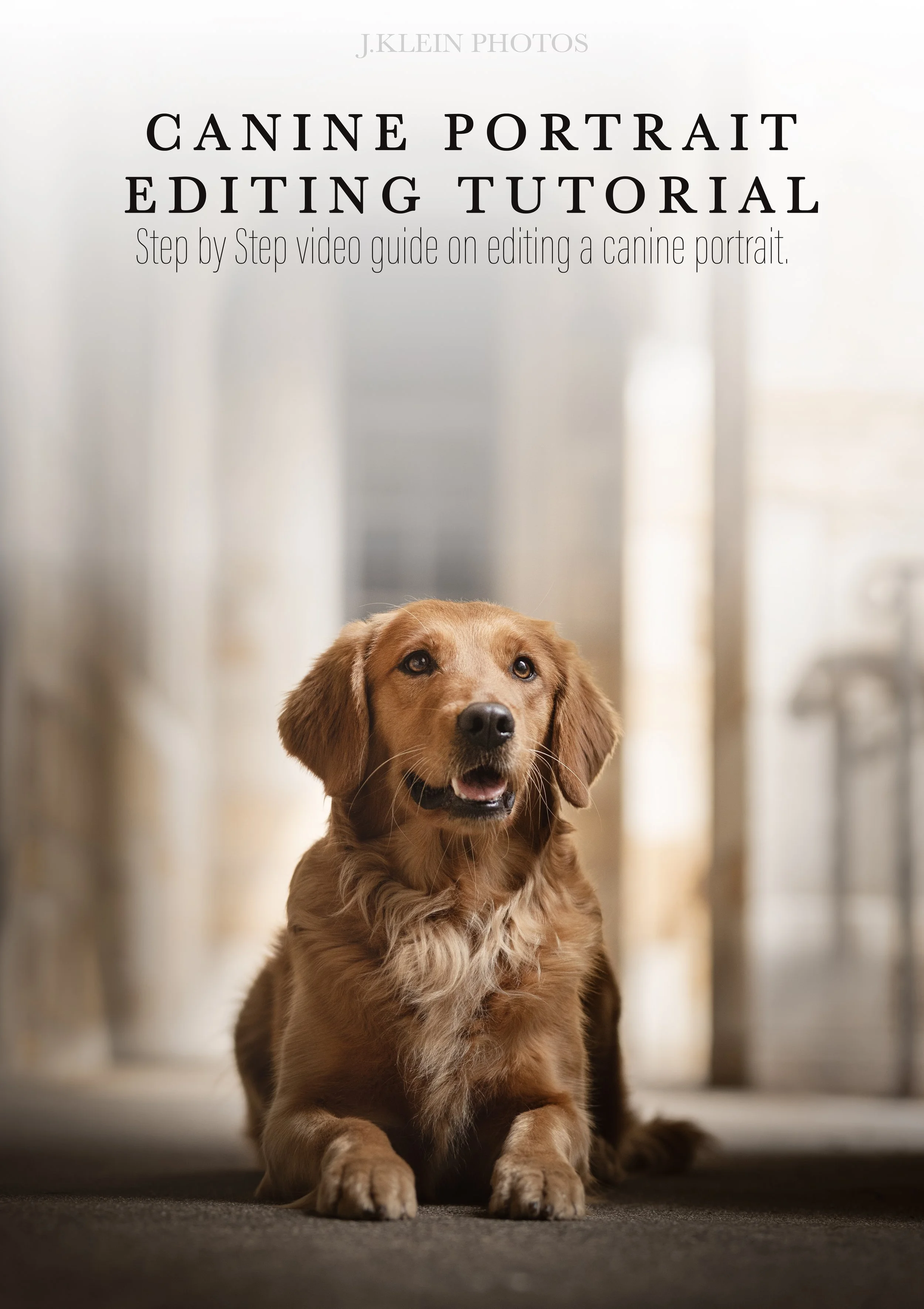 Jemma - JKP Canine Tutorial Cover.jpg
