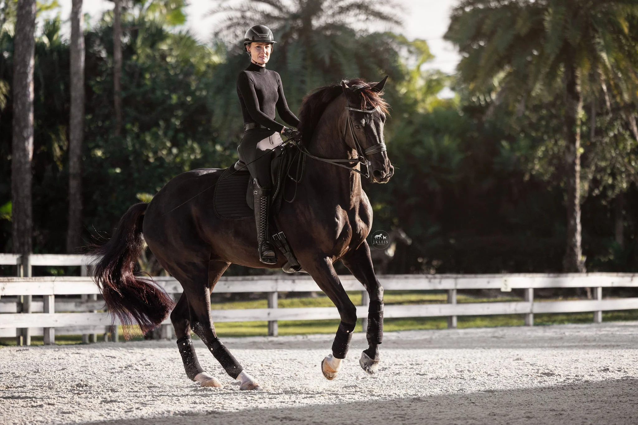 J.Klein Photos Wellington Florida Dressage Equine Photographer, offers Horse & Rider portraits, black background and action photos for Equestrians and businesses needing branding images. Marcus Fyffe Dressage with USA rider Claire Darnell.