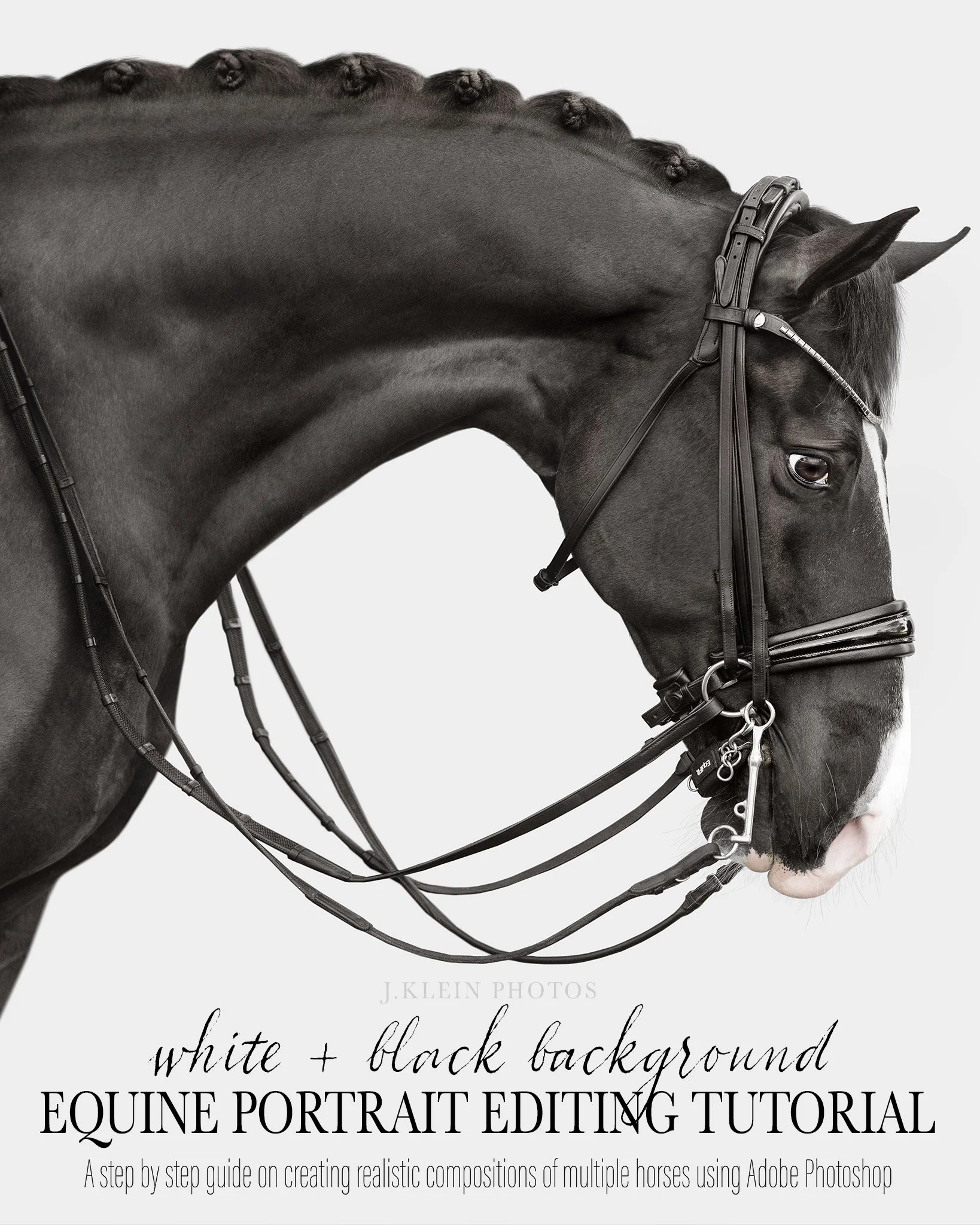 CHERRY-COVER.jpg (Copy)