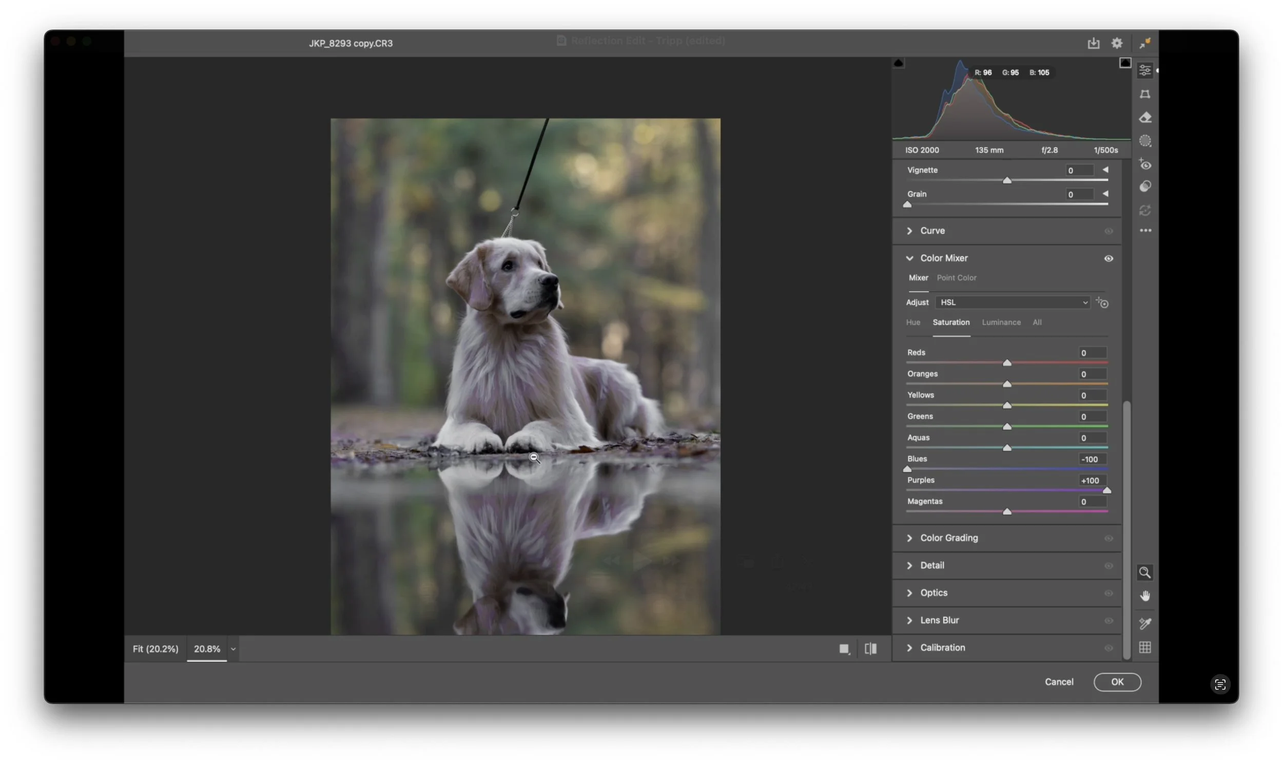 Screenshot 2025-12-12 at 11.04.34 AM copy.jpg