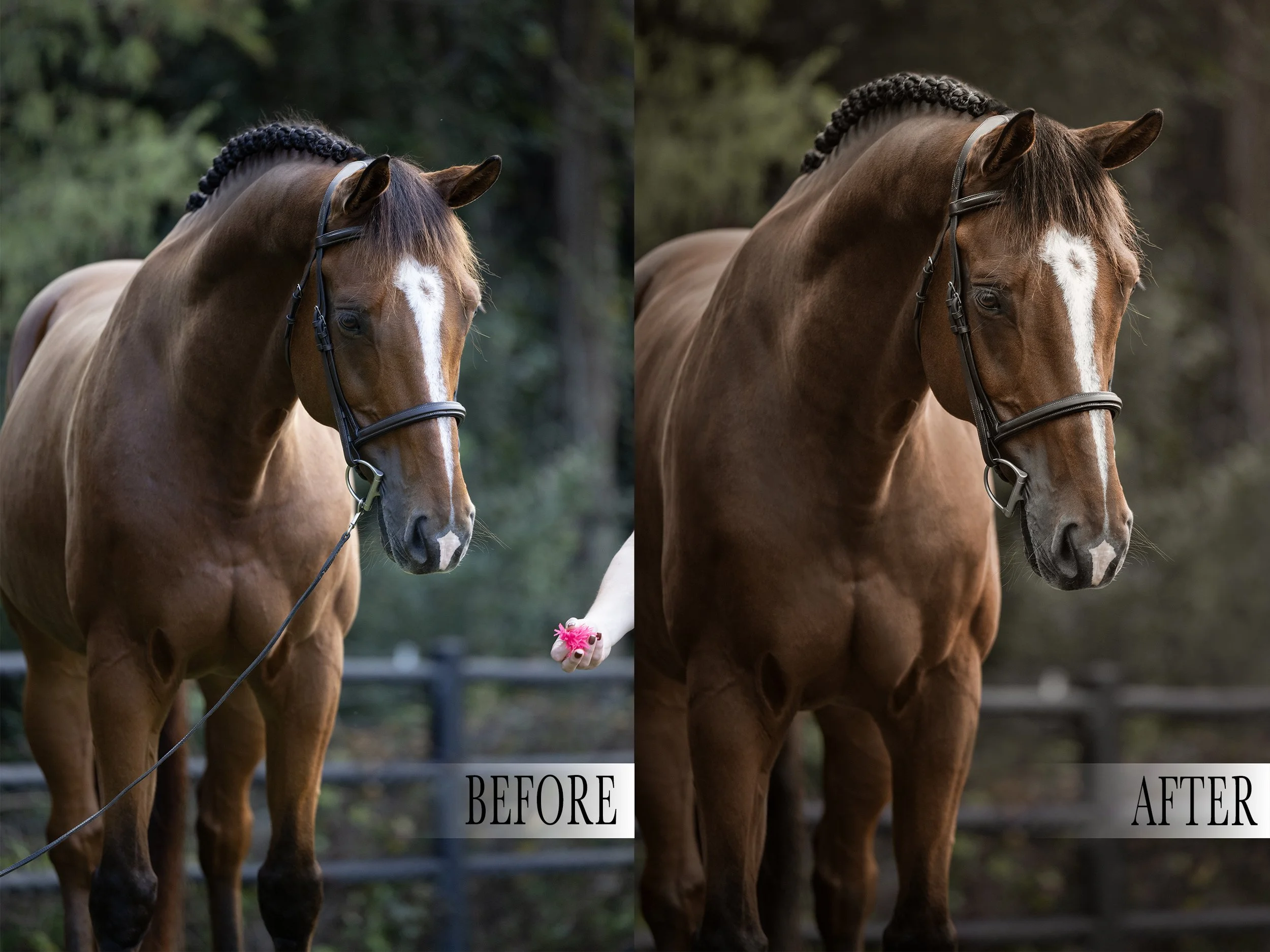 Sam Natural Background Editing Tutorial 02.jpg