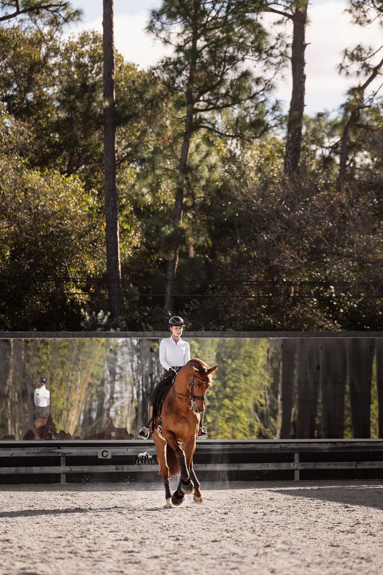 J.Klein Photos Wellington Florida Dressage Equine Photographer, offers Horse & Rider portraits, black background and action photos for Equestrians and businesses needing branding images. Marcus Fyffe Dressage with USA rider Claire Darnell.