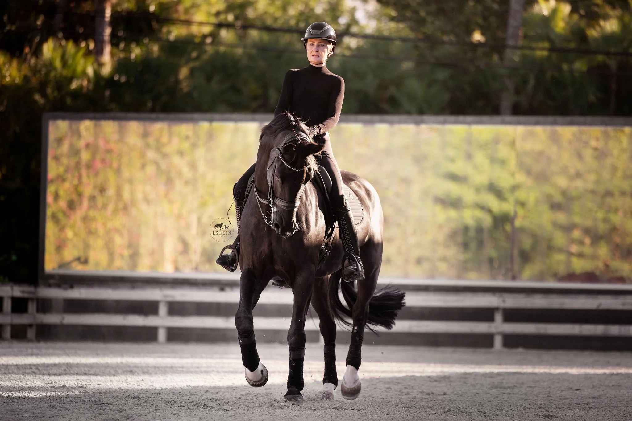 J.Klein Photos Wellington Florida Dressage Equine Photographer, offers Horse & Rider portraits, black background and action photos for Equestrians and businesses needing branding images. Marcus Fyffe Dressage with USA rider Claire Darnell.