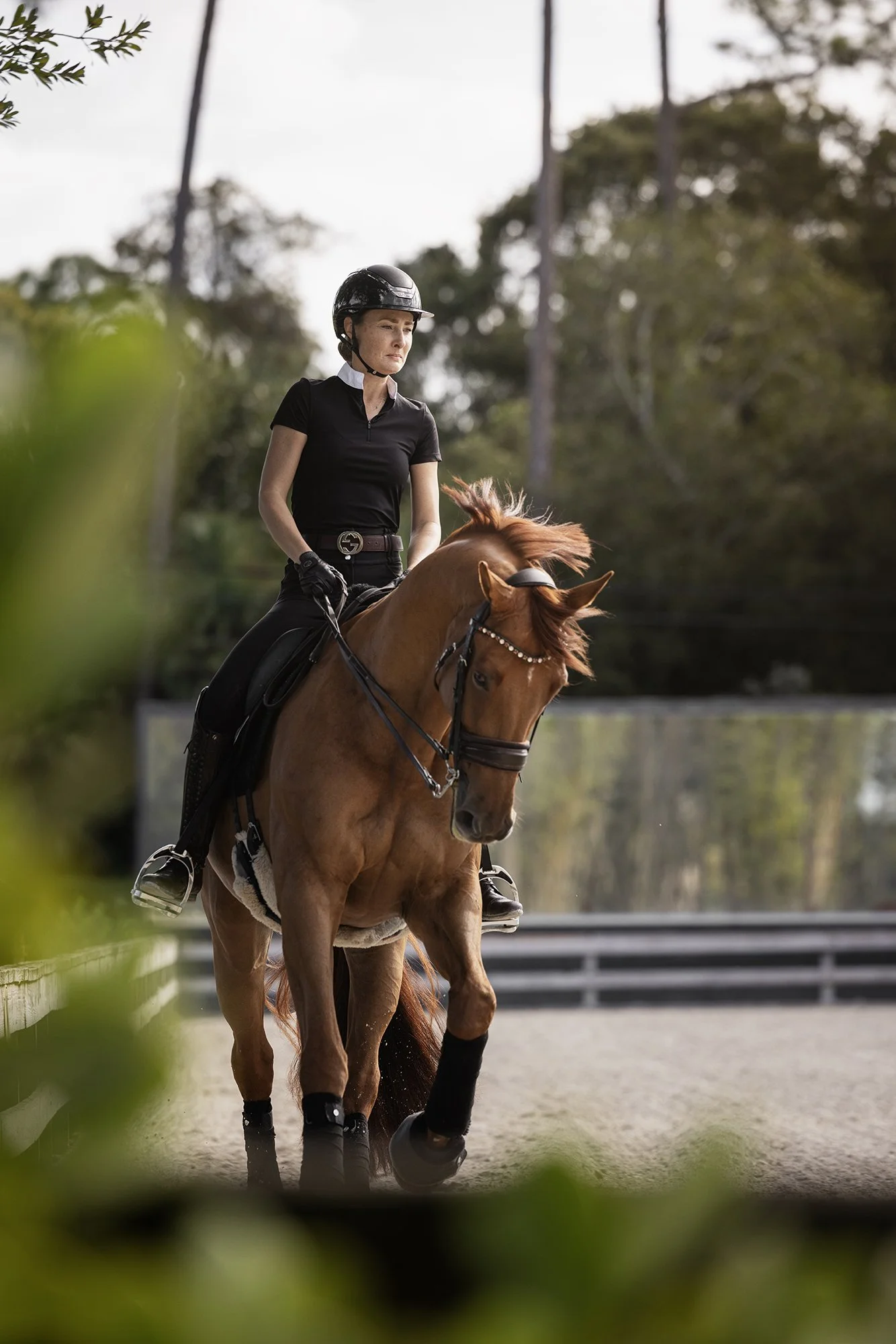 J.Klein Photos Wellington Florida Dressage Equine Photographer, offers Horse & Rider portraits, black background and action photos for Equestrians and businesses needing branding images. Marcus Fyffe Dressage with USA rider Claire Darnell.