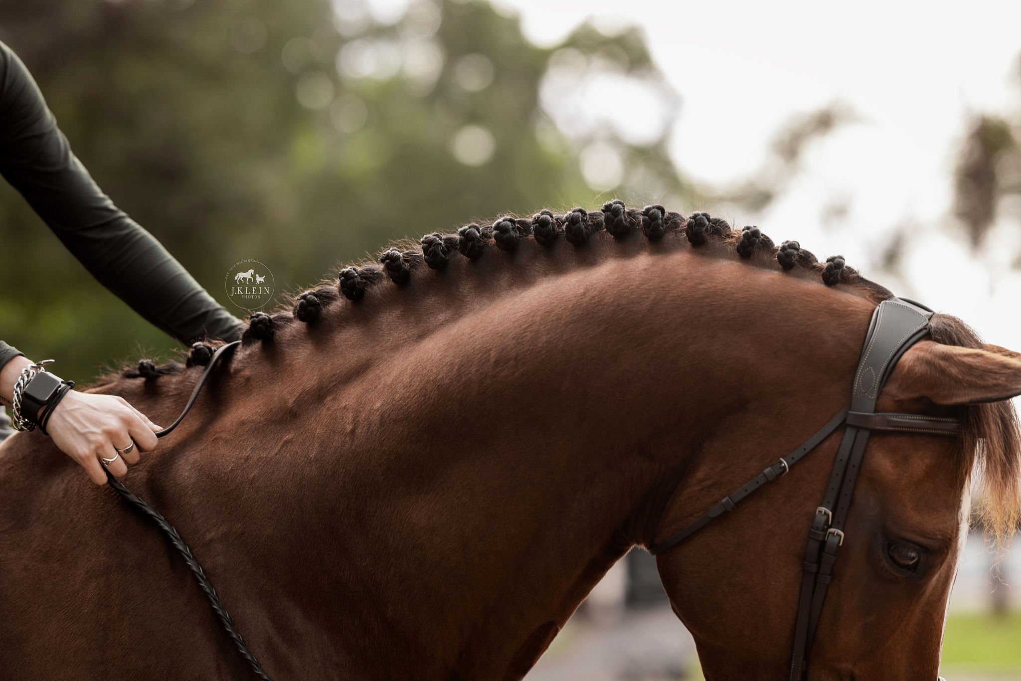 JKlein Photos, Wellington Florida Equine Photographer, photographs horse and rider for educational posing guide, creating professional portraits for equestrians.