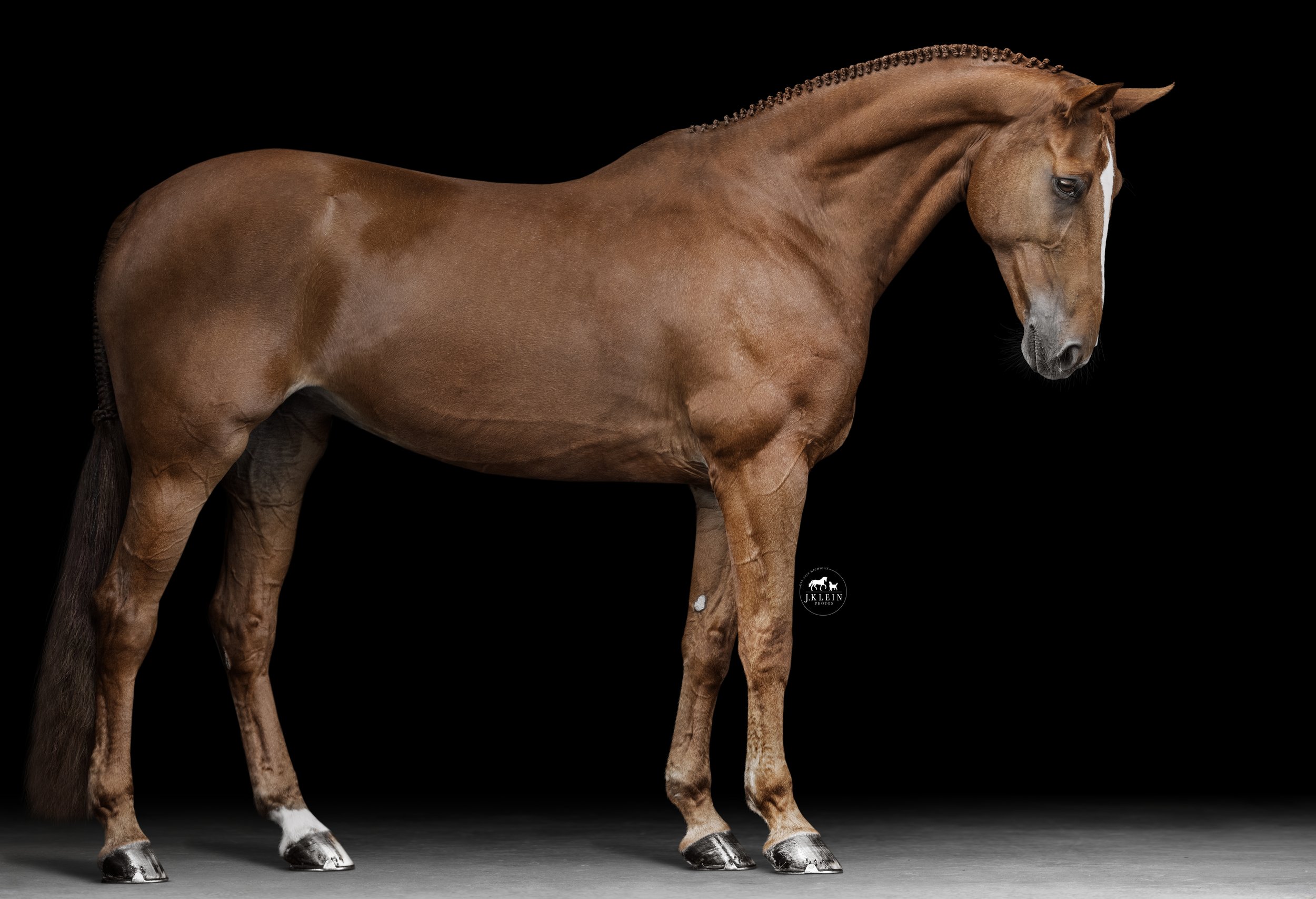 JKP_2489-2 BBG LOGO.jpg