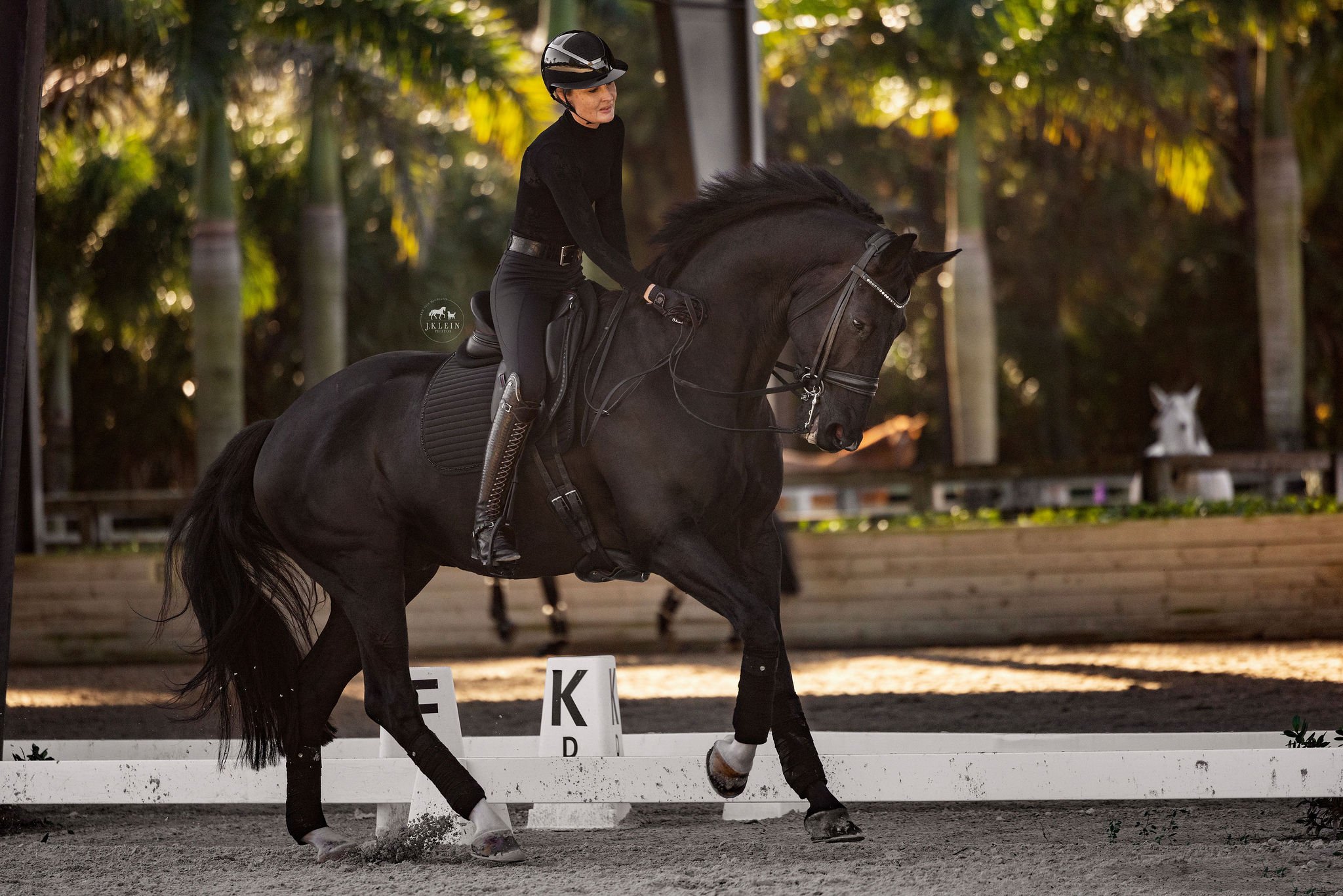 J.Klein Photos Wellington Florida Dressage Equine Photographer, offers Horse & Rider portraits, black background and action photos for Equestrians and businesses needing branding images. Marcus Fyffe Dressage with USA rider Claire Darnell.