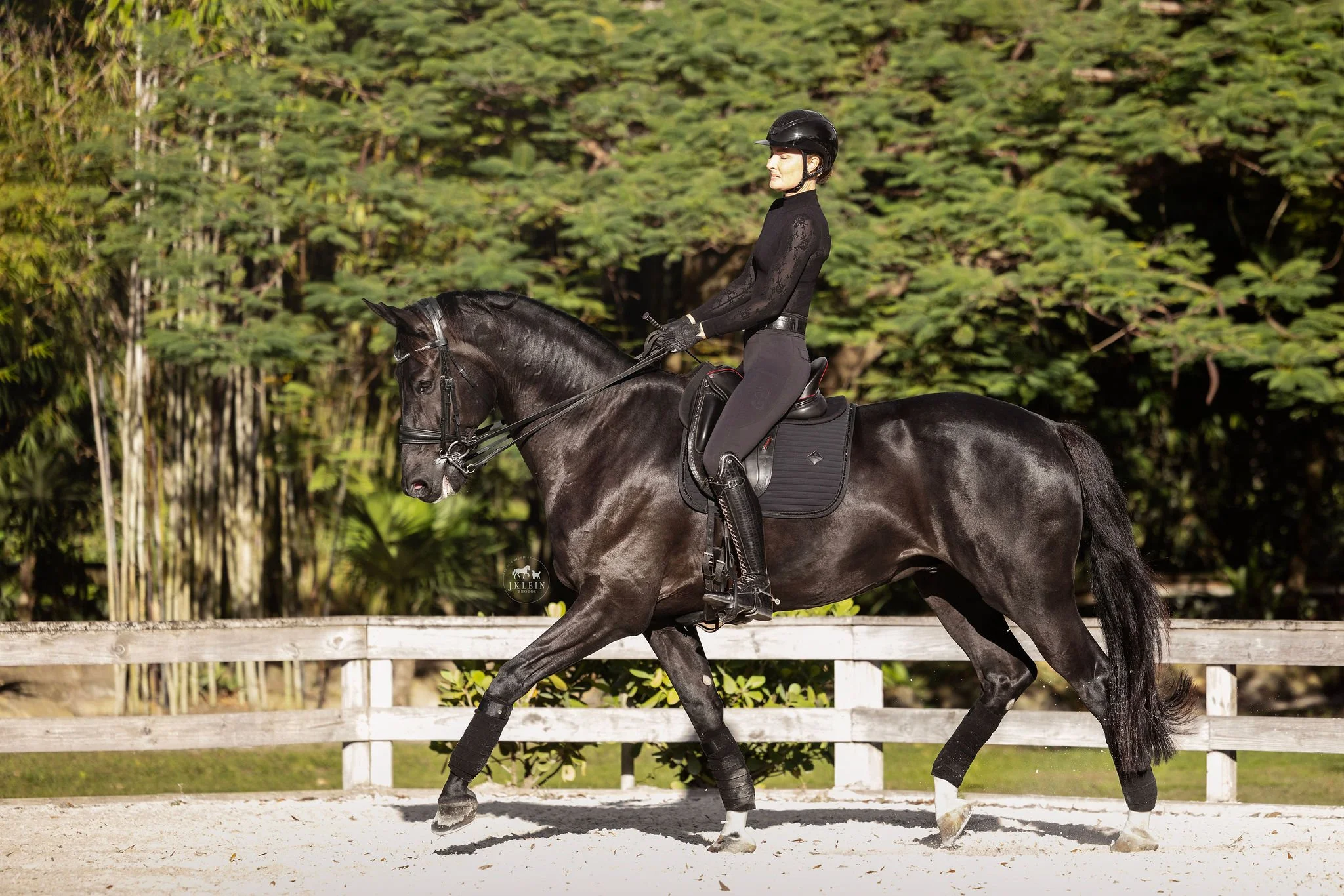 J.Klein Photos Wellington Florida Dressage Equine Photographer, offers Horse & Rider portraits, black background and action photos for Equestrians and businesses needing branding images. Marcus Fyffe Dressage with USA rider Claire Darnell.
