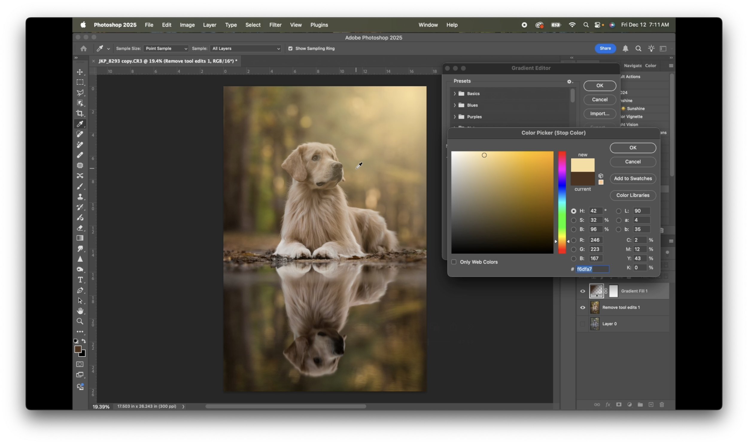 Screenshot 2025-12-12 at 11.04.59 AM copy.jpg