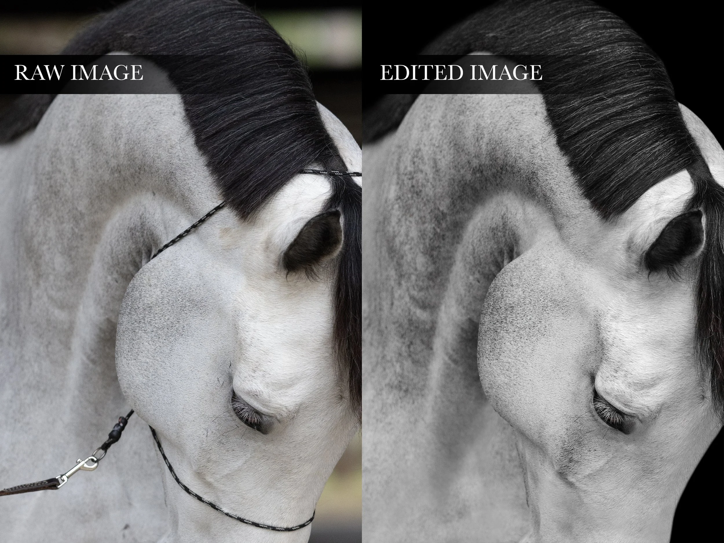 Before and After.jpg