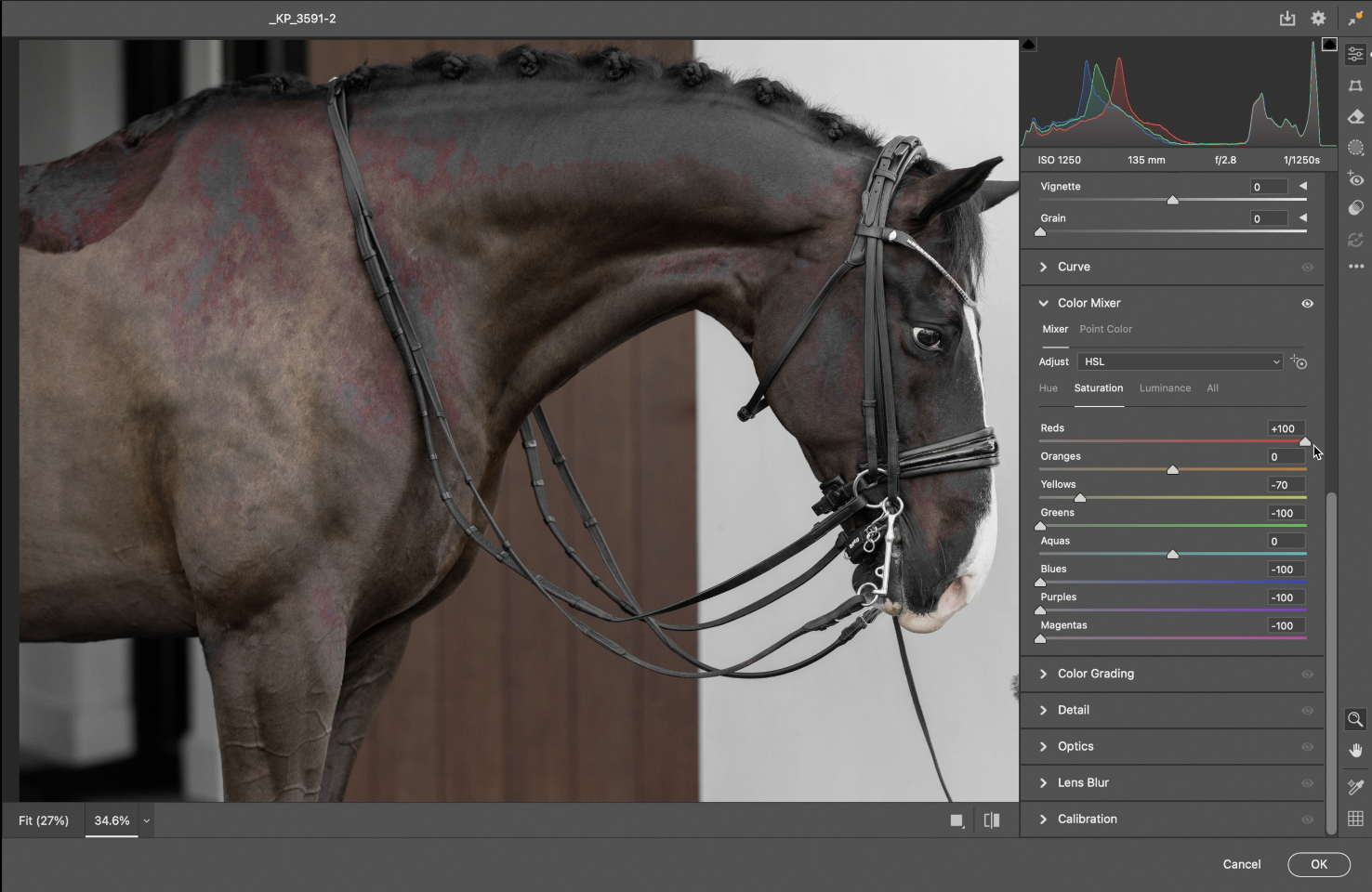 Screenshot 2025-12-19 at 12.31.14 PM.png (Copy)