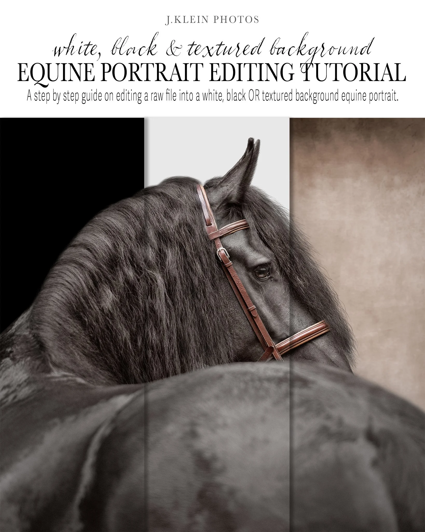 JKlein Photos Equine Portrait Editing Tutorial using Adobe Photoshop to retouch horse photos 97.jpg