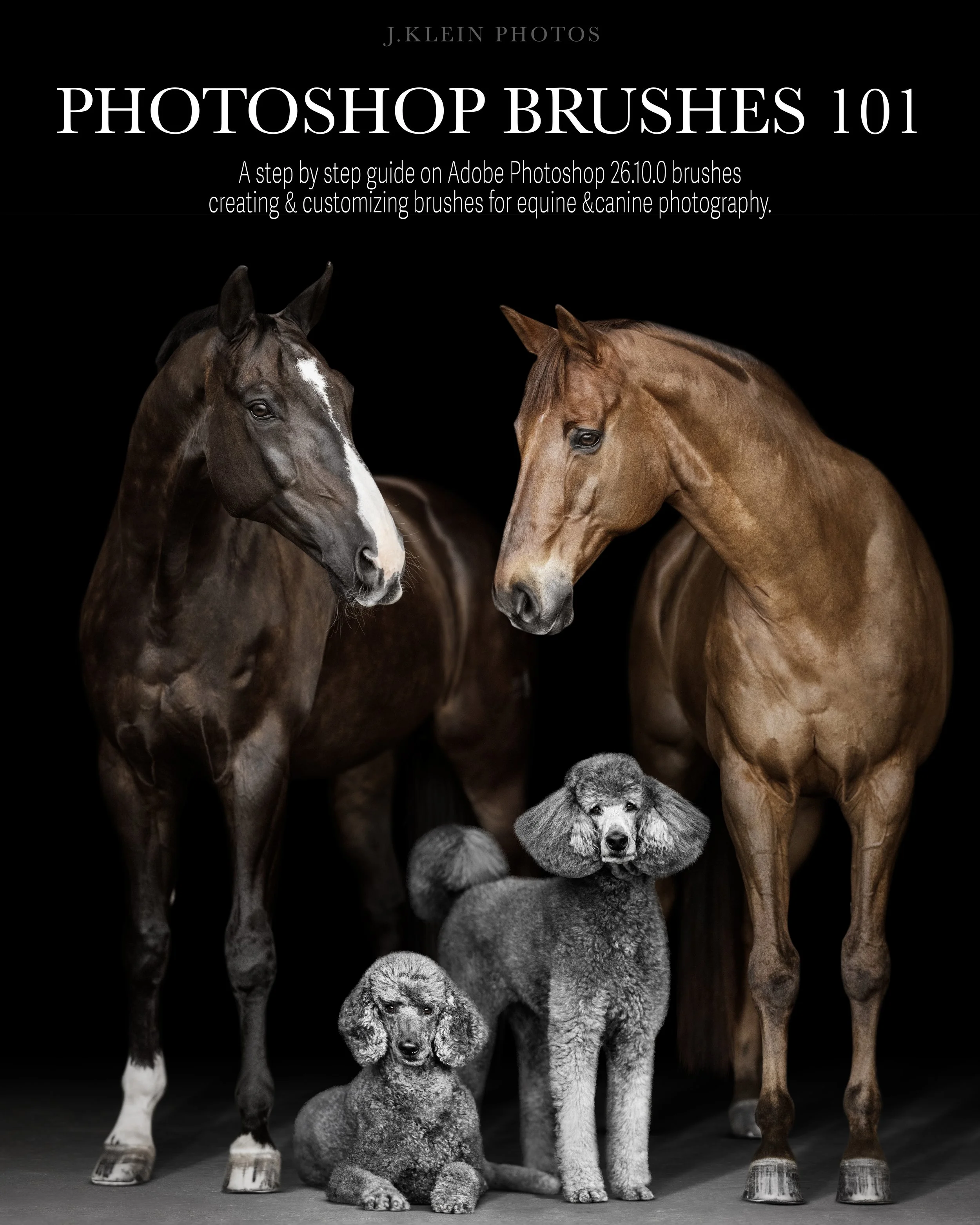 Photoshop Brushes Cover.jpg