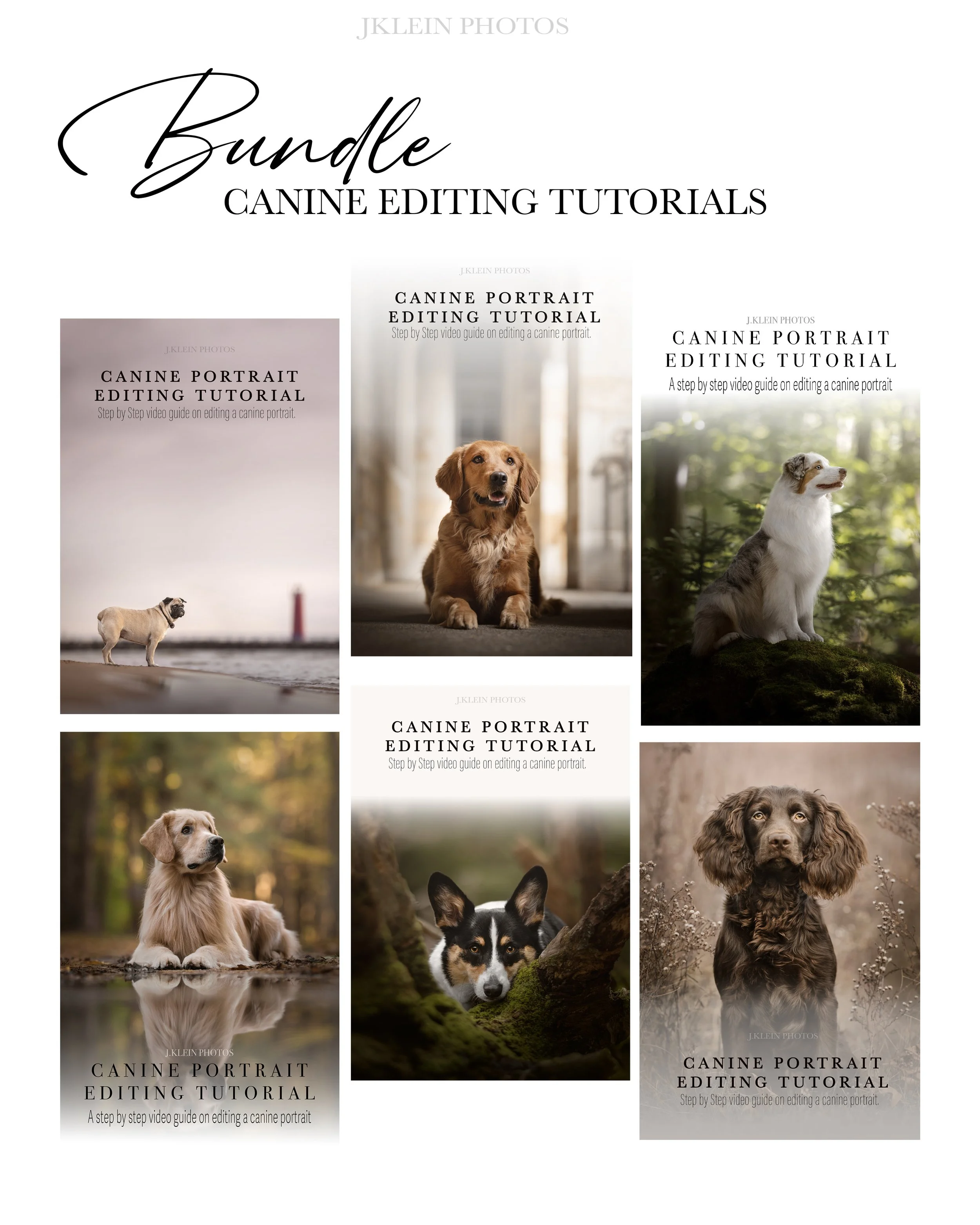 Canine Editing Bundle.jpg