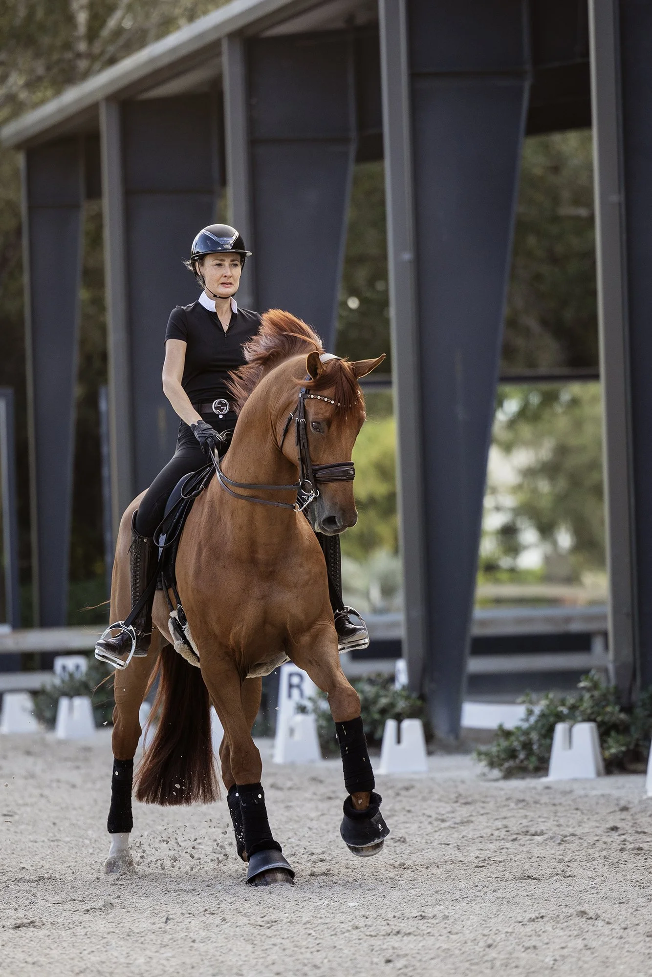 J.Klein Photos Wellington Florida Dressage Equine Photographer, offers Horse & Rider portraits, black background and action photos for Equestrians and businesses needing branding images. Marcus Fyffe Dressage with USA rider Claire Darnell.