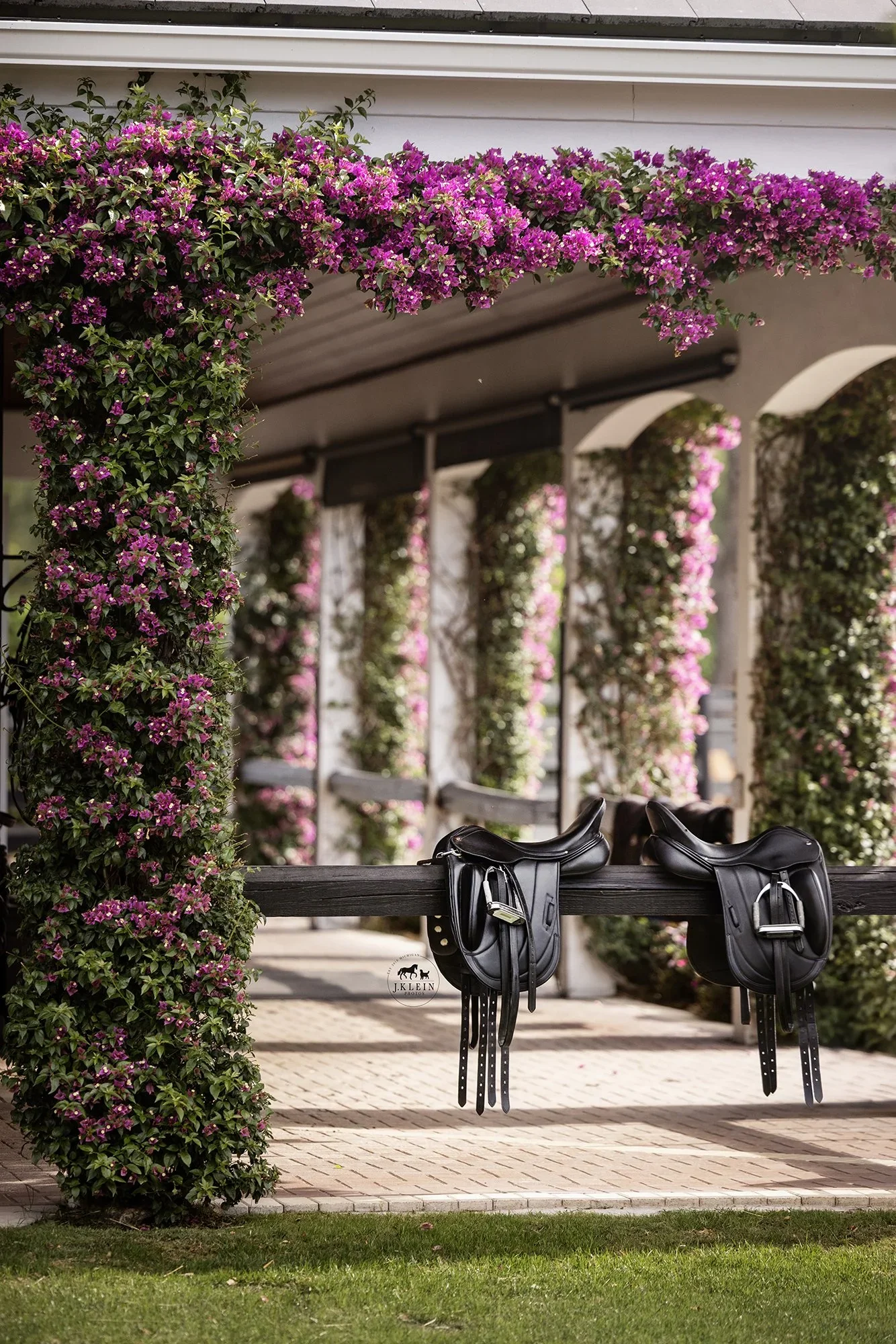 Branding Photography for Equine Businesses needing professional photography from an equestrian point of view