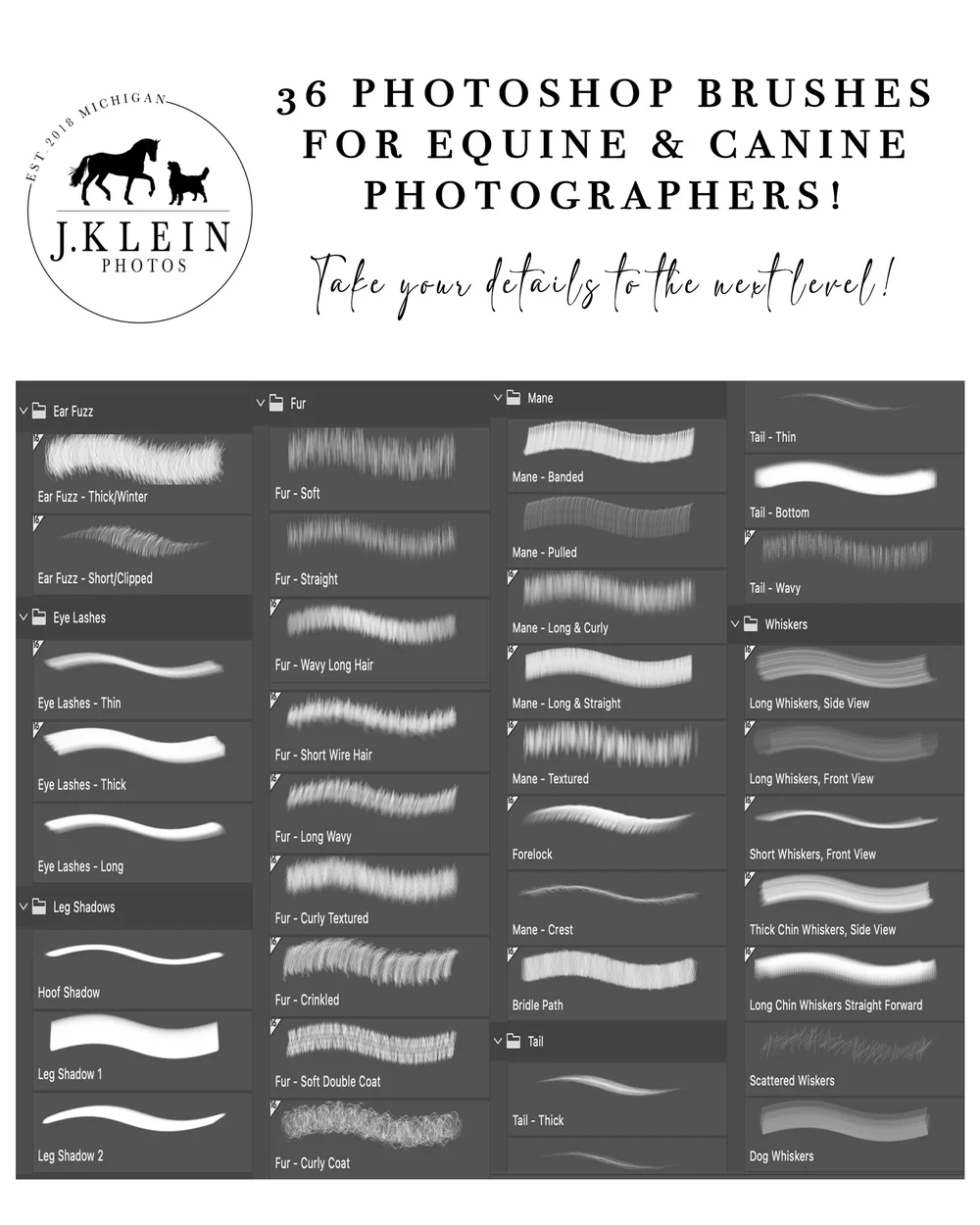 Photoshop Hair Brushes for Equine \u0026 Canine Photographers — J.Klein Photos, image size:1000x1250