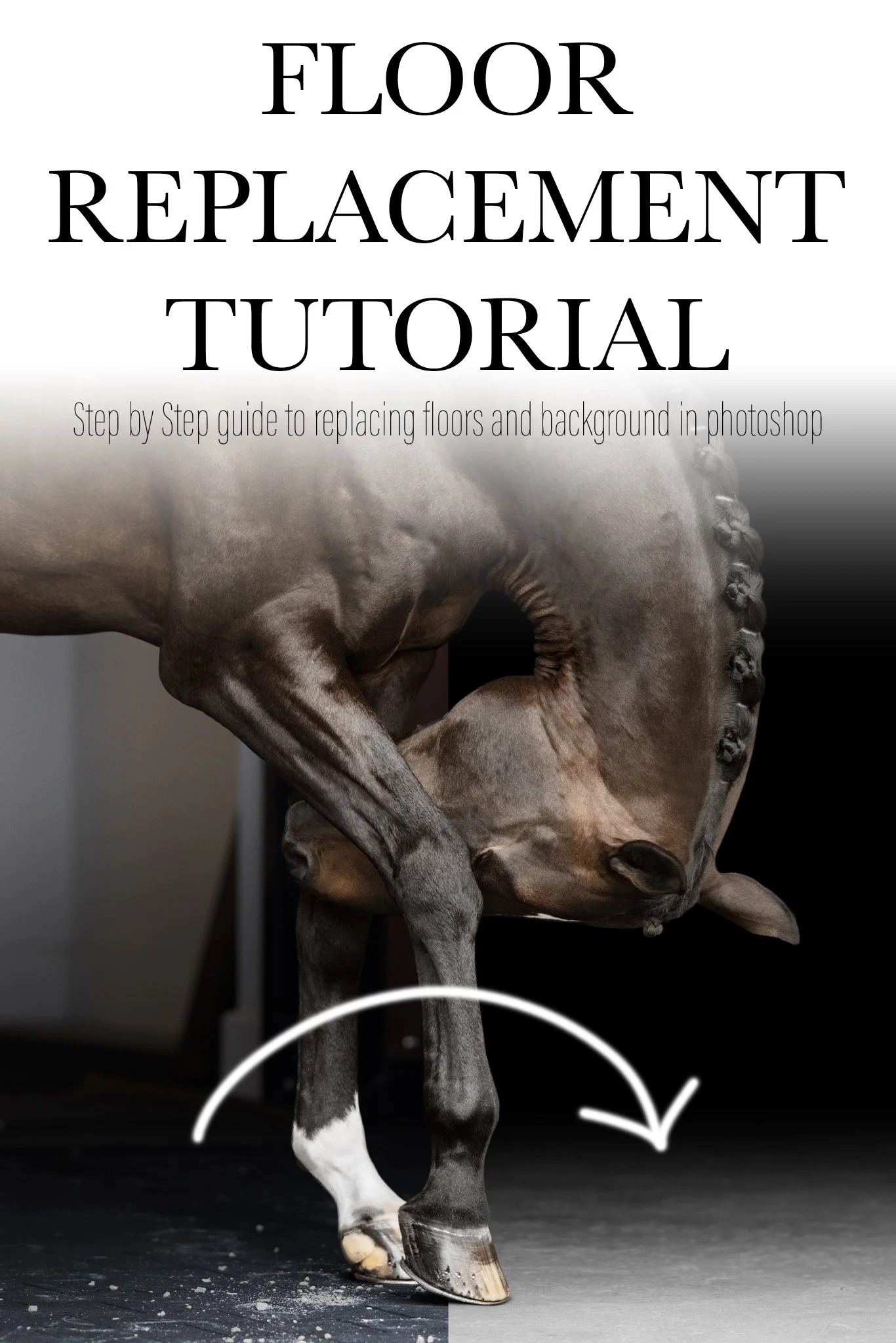 Equine Portrait, Floor & Shadow Replacement Tutorial for Photoshop