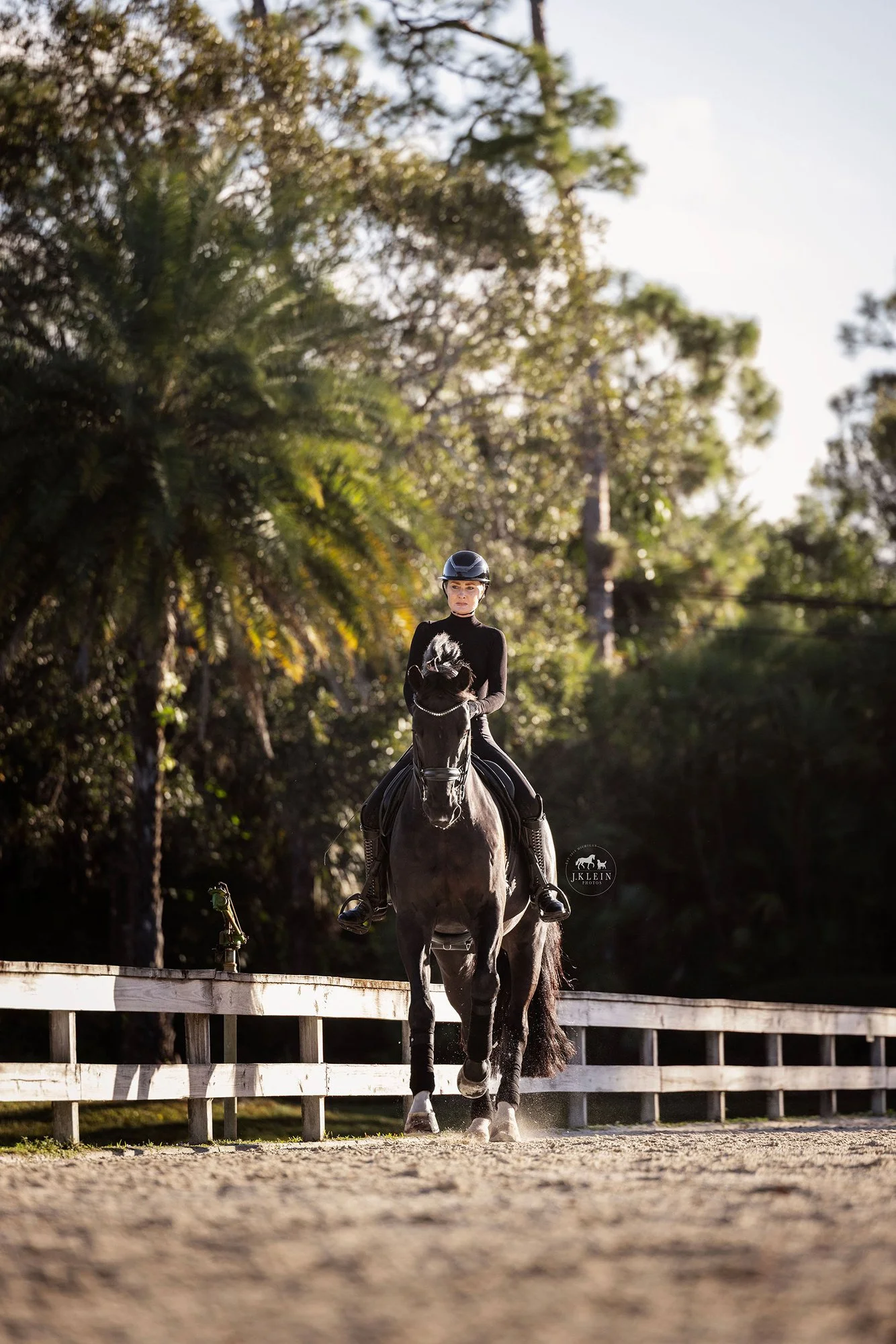 J.Klein Photos Wellington Florida Dressage Equine Photographer, offers Horse & Rider portraits, black background and action photos for Equestrians and businesses needing branding images. Marcus Fyffe Dressage with USA rider Claire Darnell.