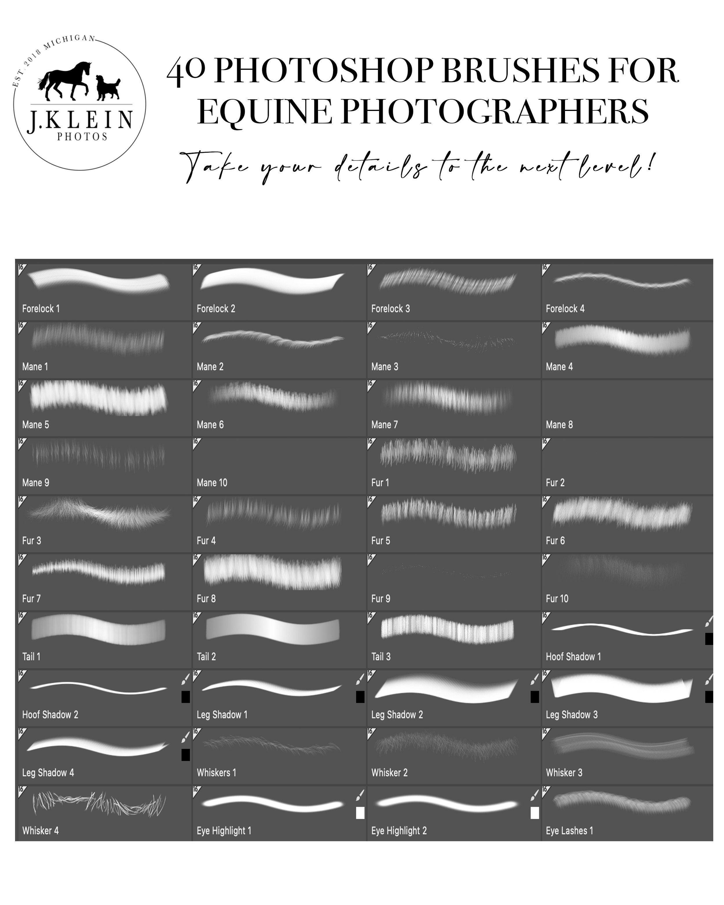 JKlein Photos_Photoshop Brushes for Equine and Canine Photographers_2025_1.jpg