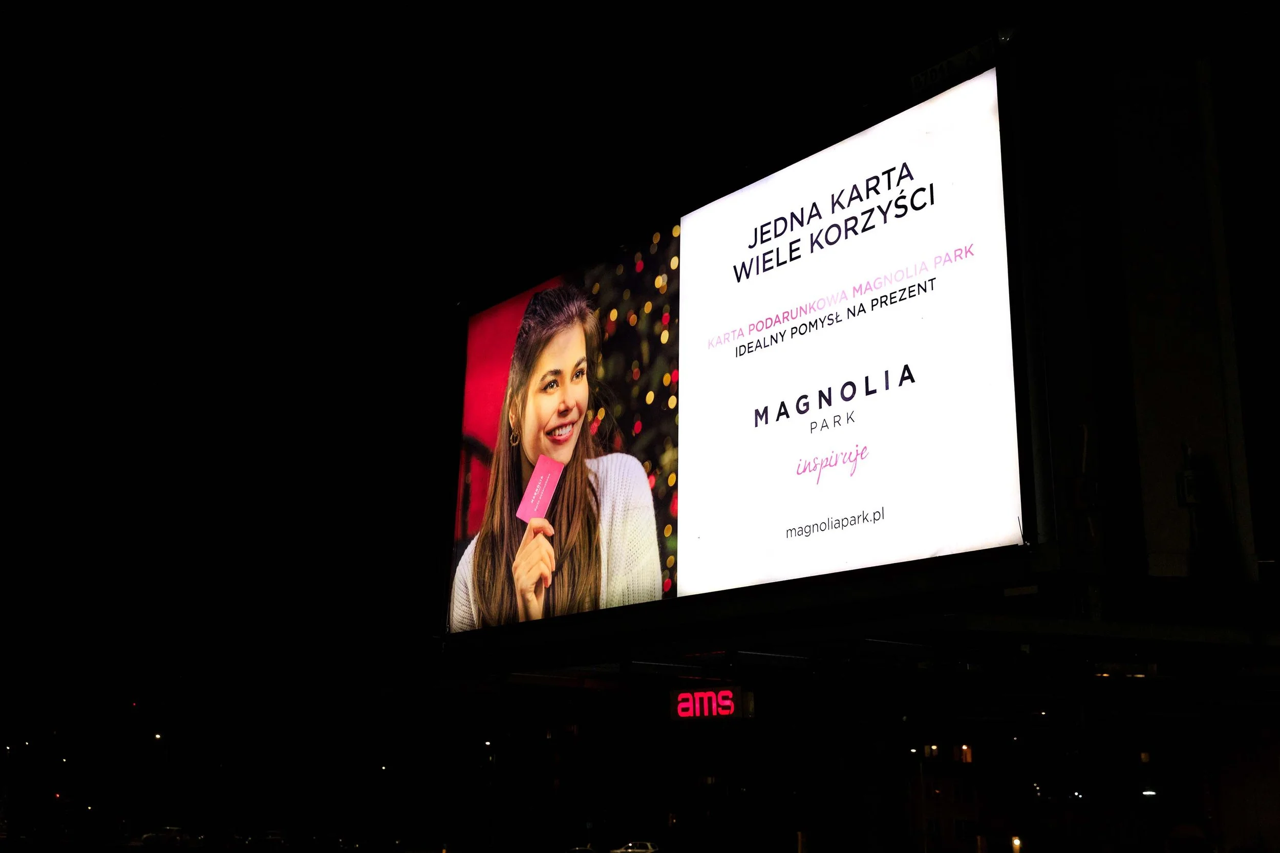 Sesja bilbordowa-4.jpg