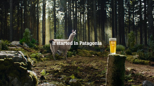 Wild Lager by Heineken: Patagonia