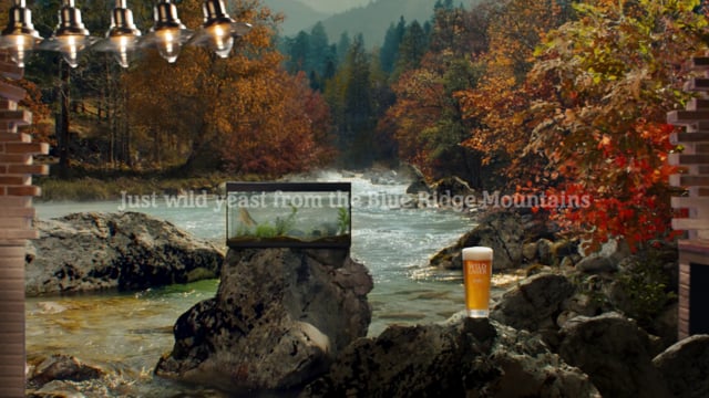 Wild Lager by Heineken: Blue Ridge Mountains