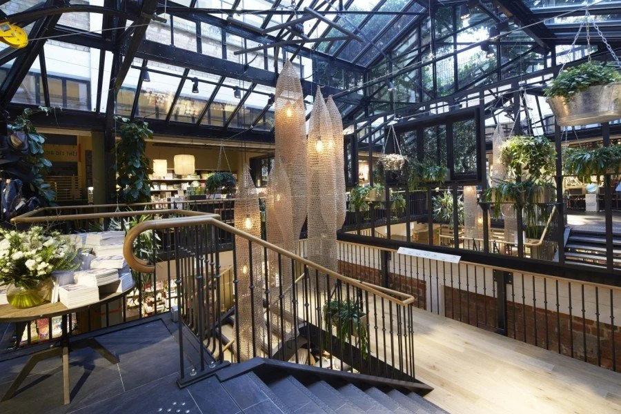 🌿 Espaces de travail inspirants : l’atout végétal facile à mettre en oeuvre