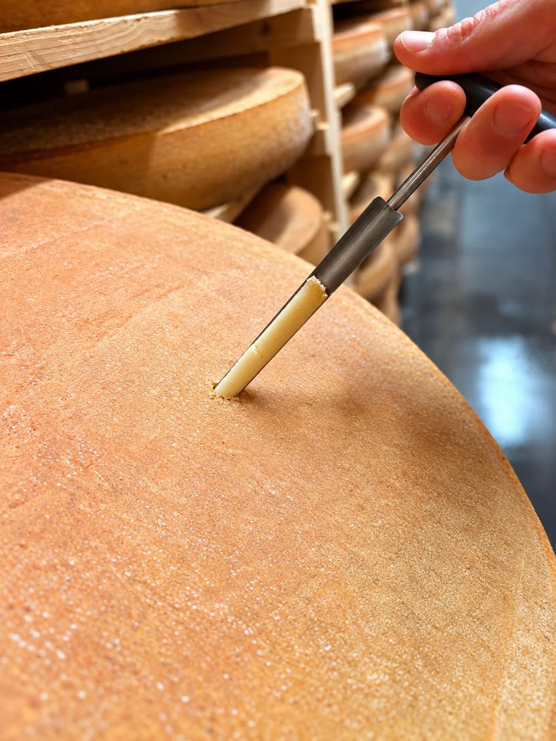 Le Comté : un modèle d'intelligence collective