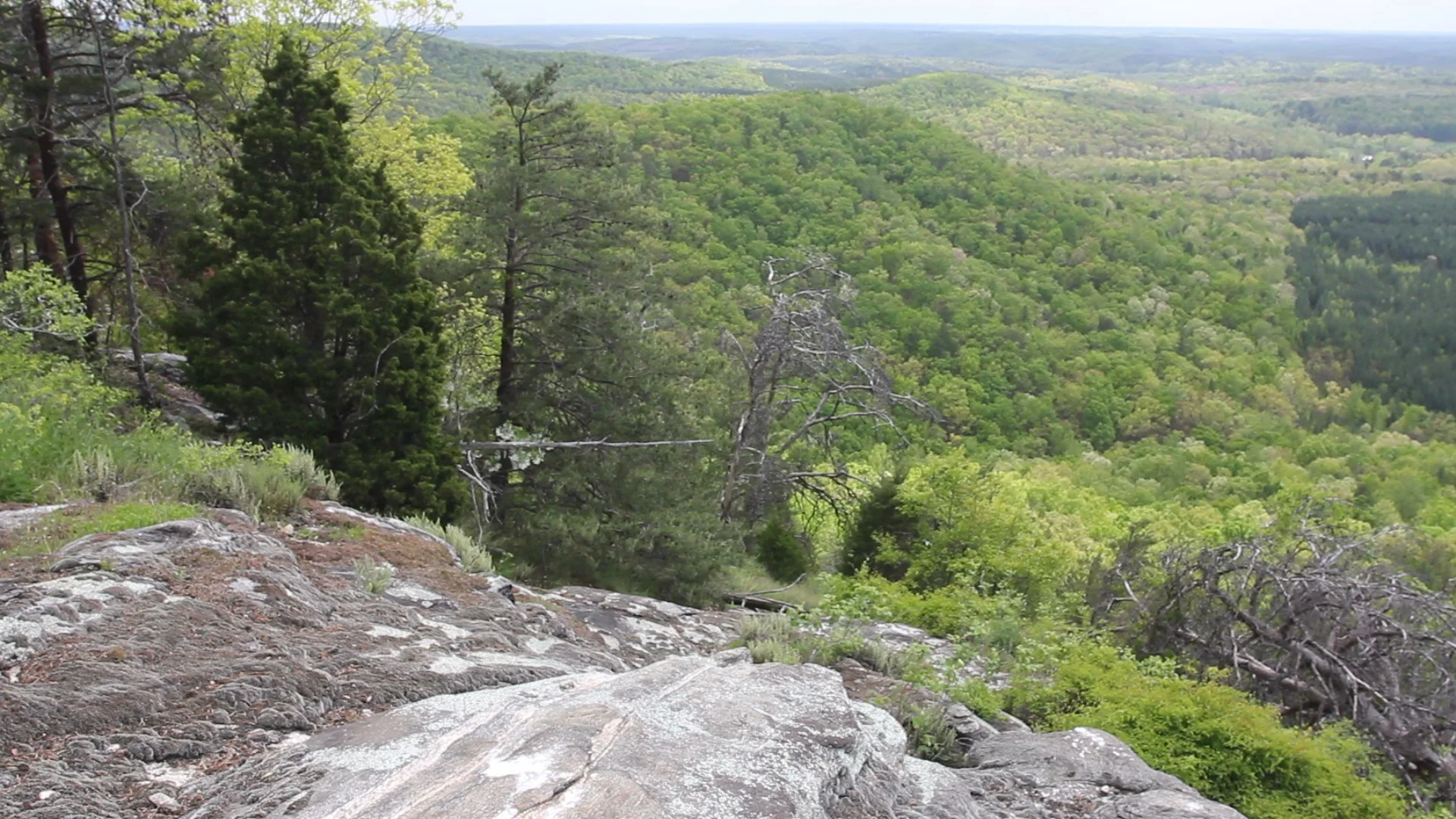 Box Creek Wilderness — Unique Places to Save