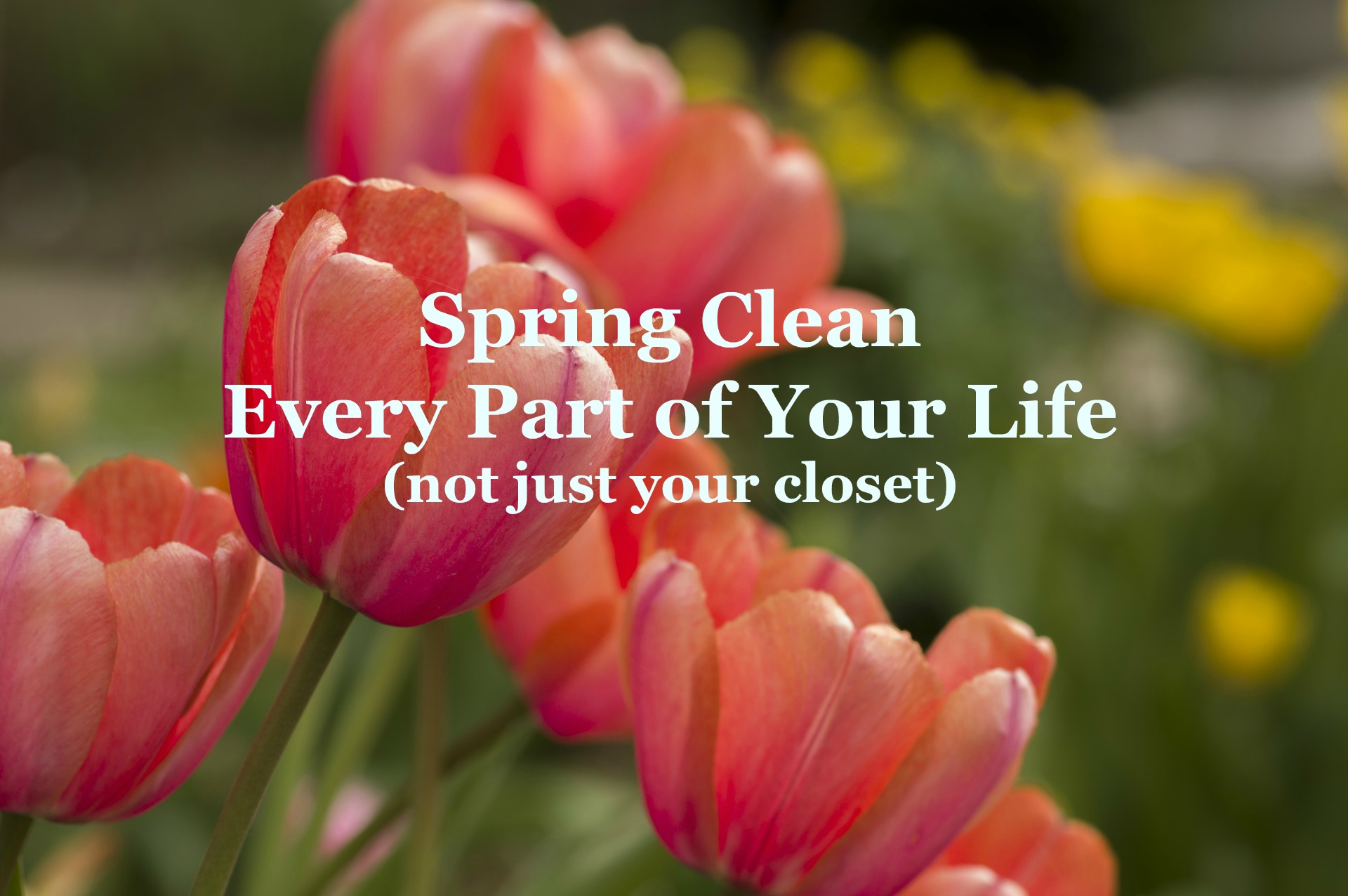 Spring-Cleaning.jpg