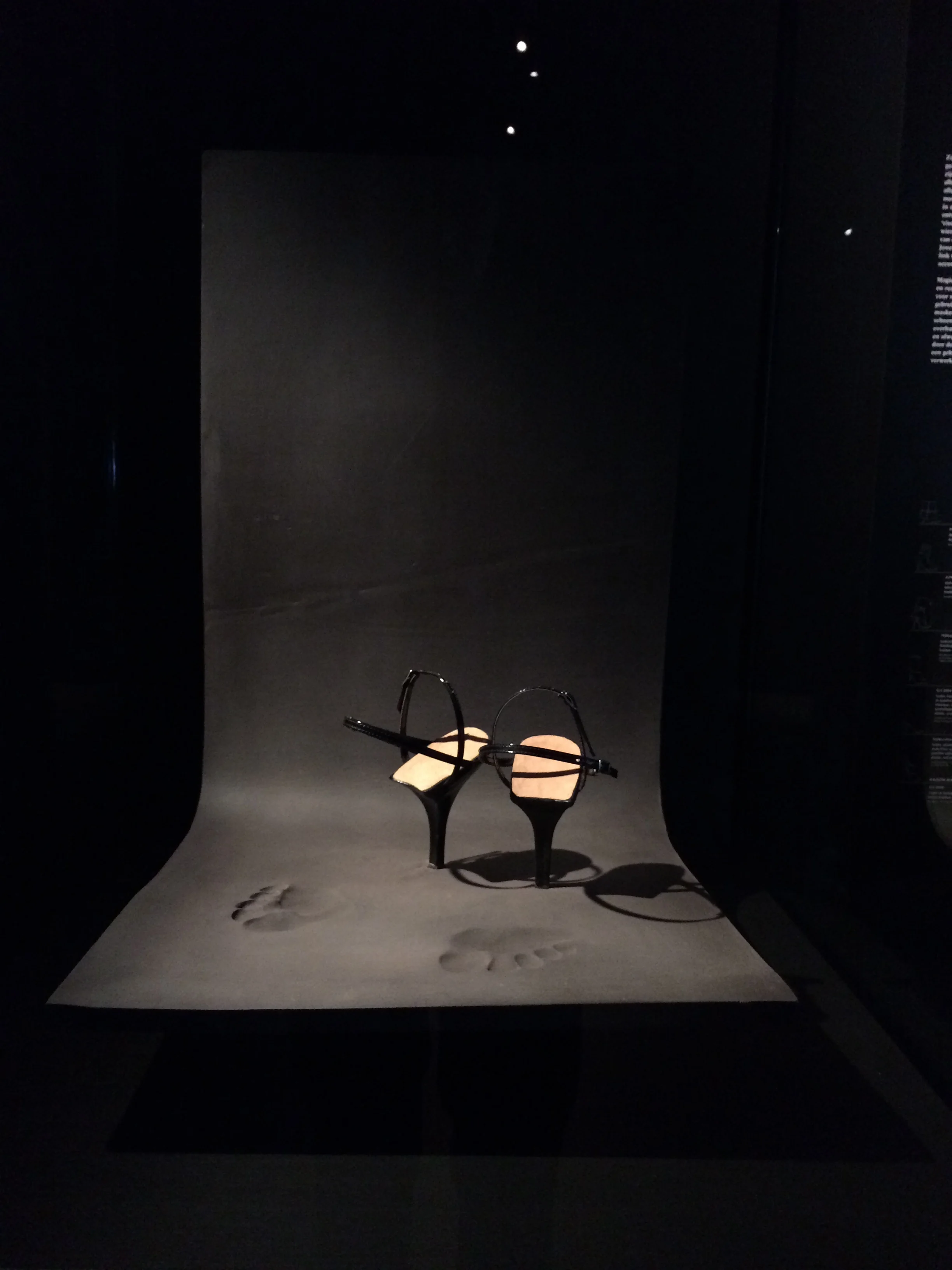 IMG_display footprint momu 2015.jpg