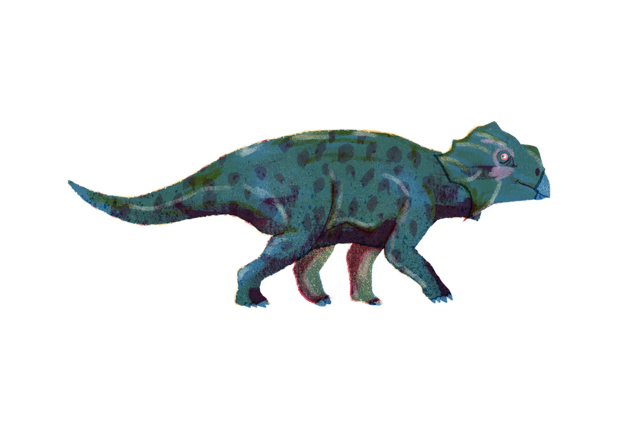 Bagaceratops.jpg