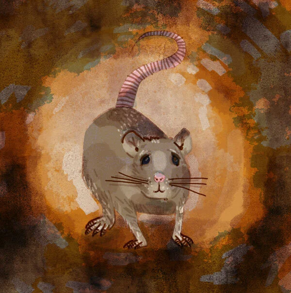 ratte.jpg